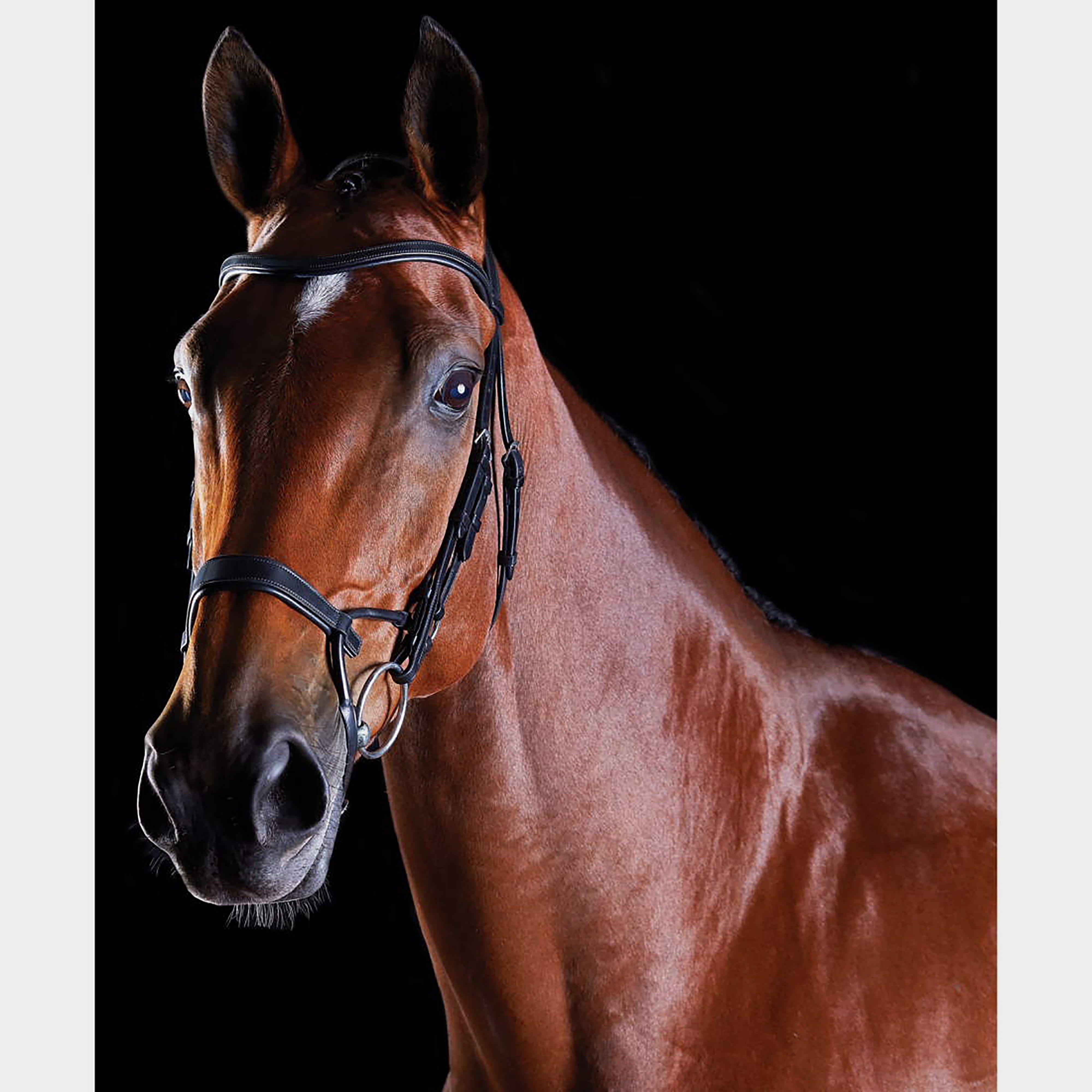 ComFiTec Training Bridle Black