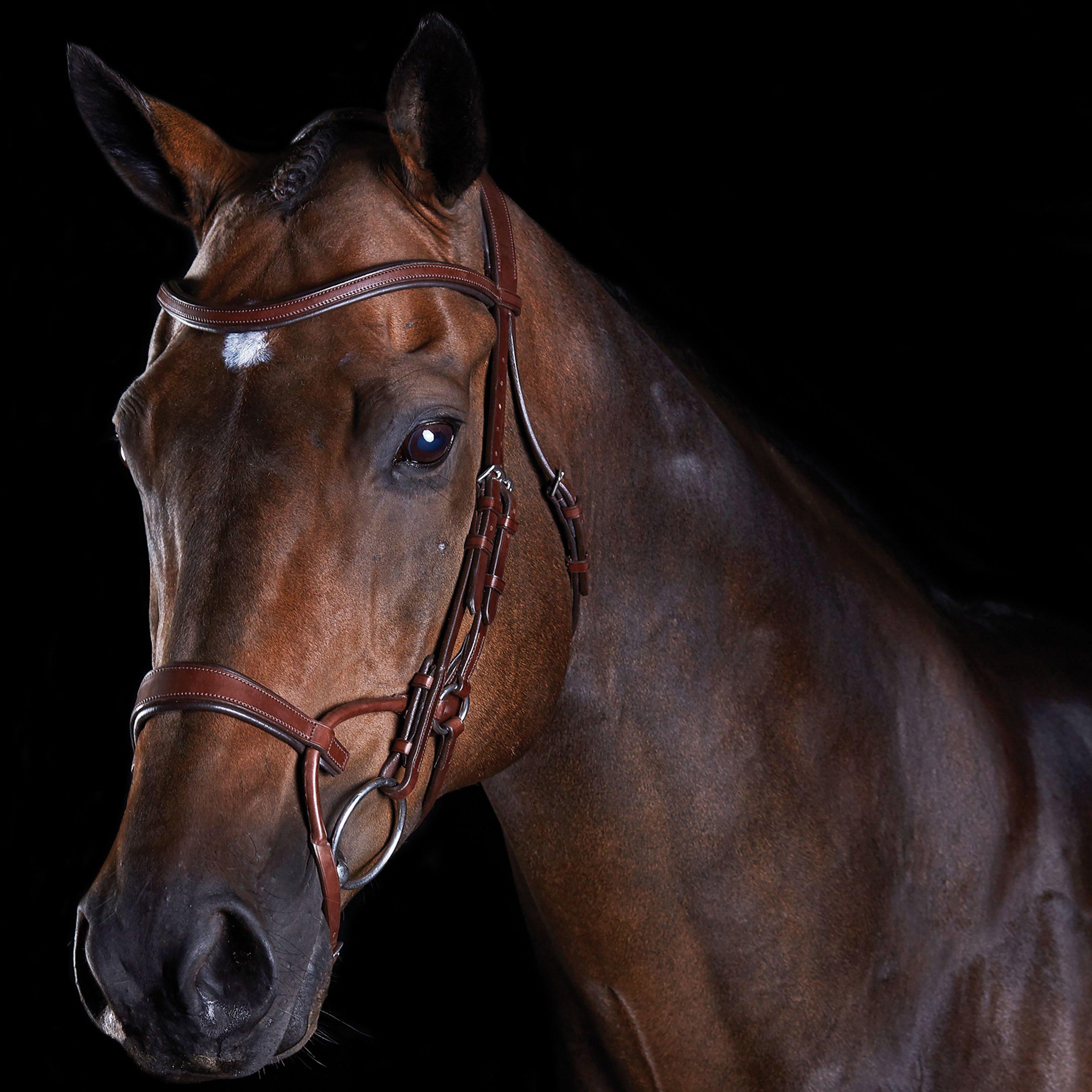 ComFiTec Training Bridle Brown