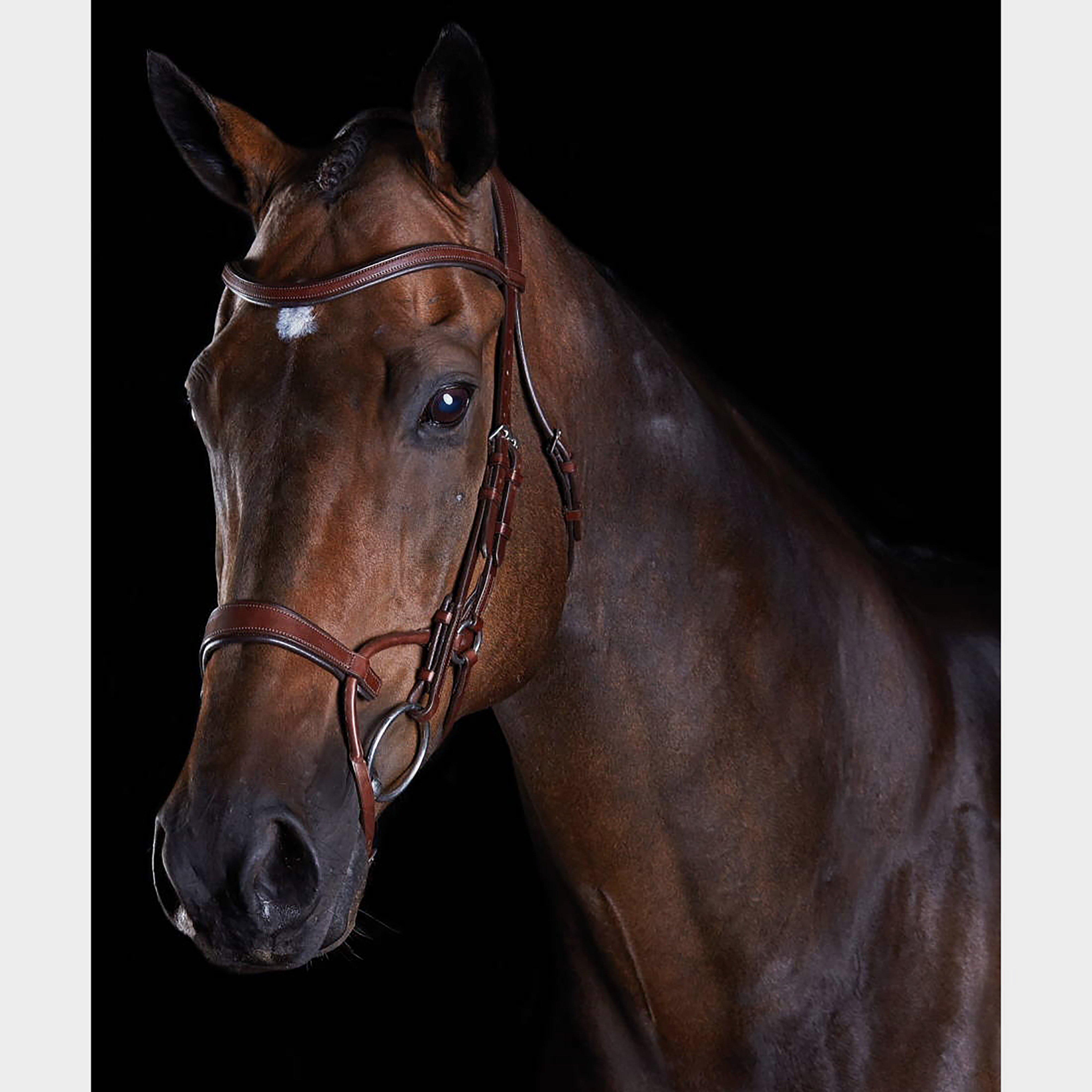 ComFiTec Training Bridle Brown