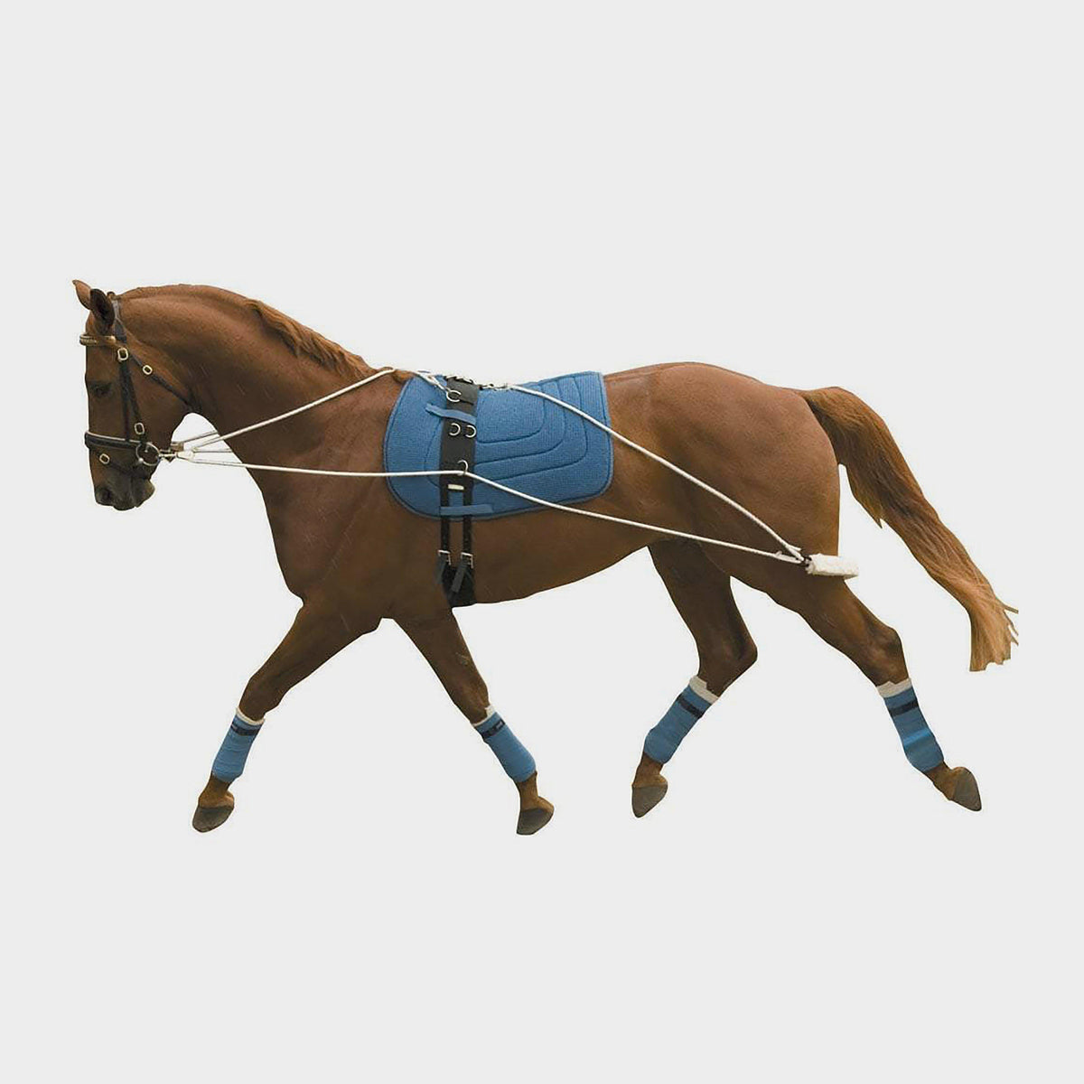 Lunge Training System