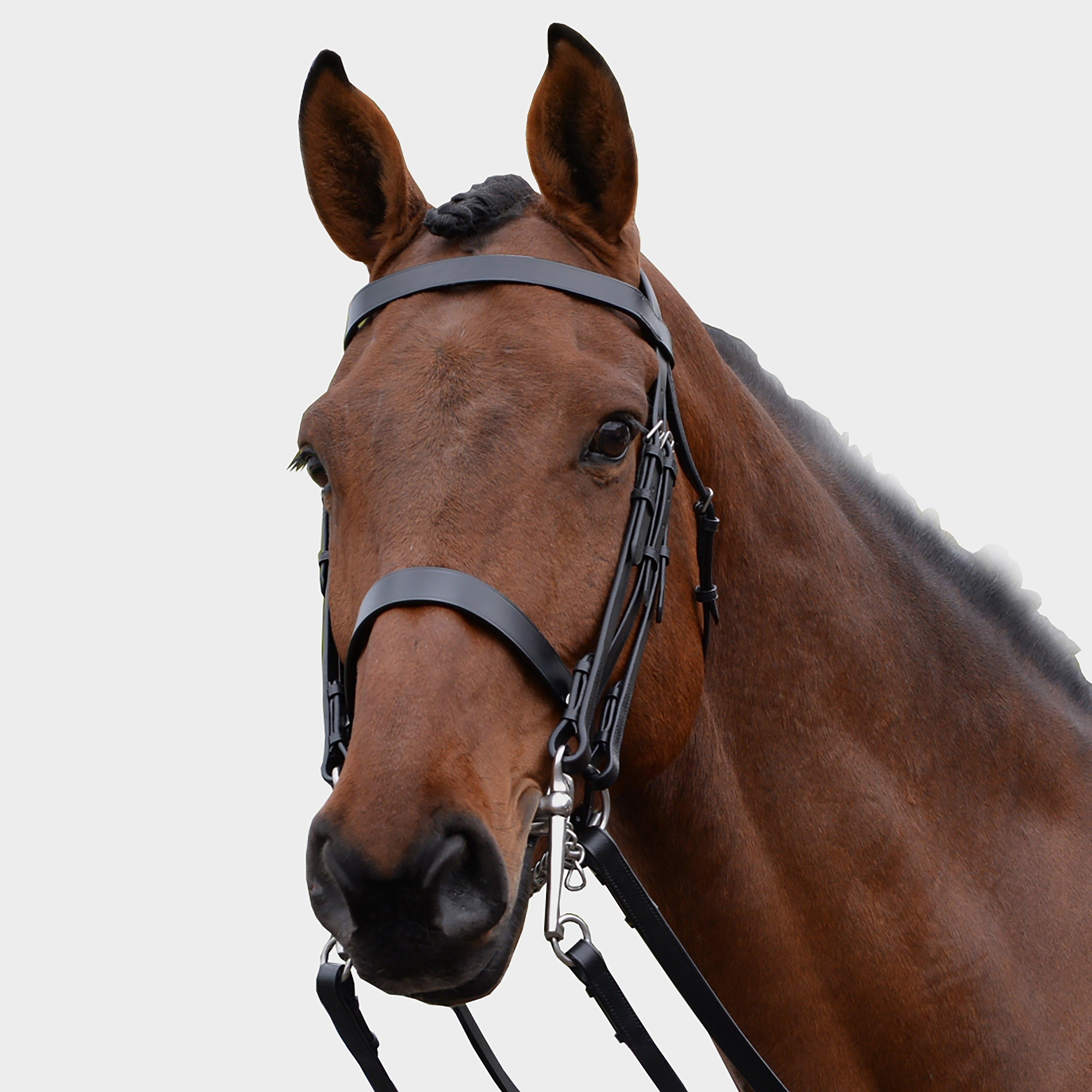 Show Weymouth Bridle Black