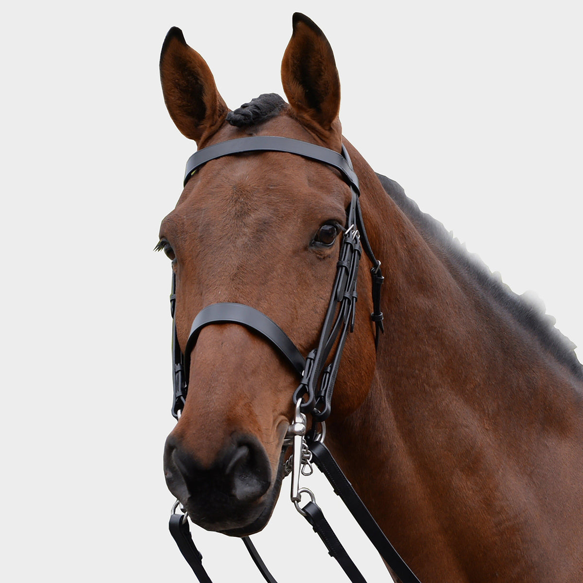 Show Weymouth Bridle Black