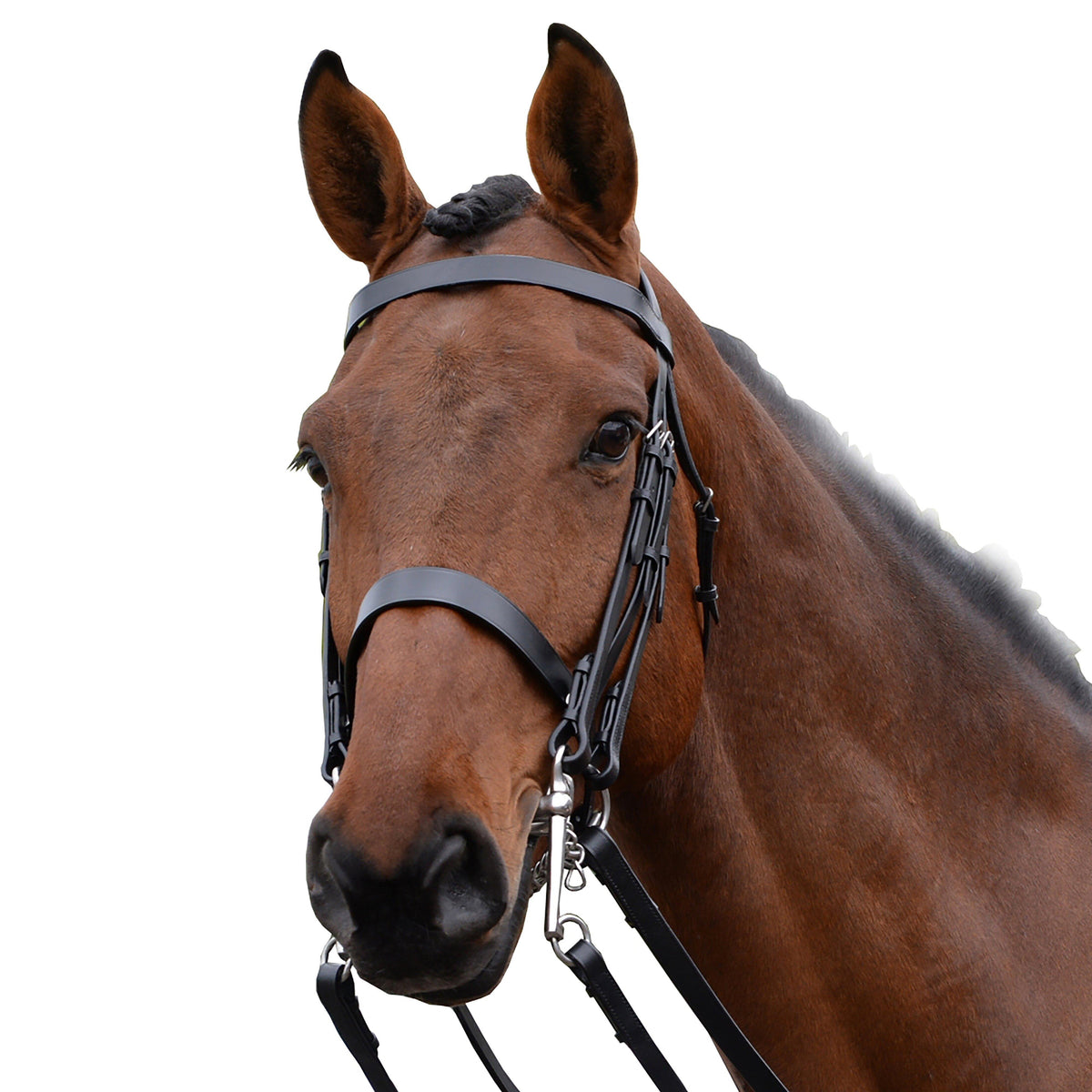Show Weymouth Bridle Black