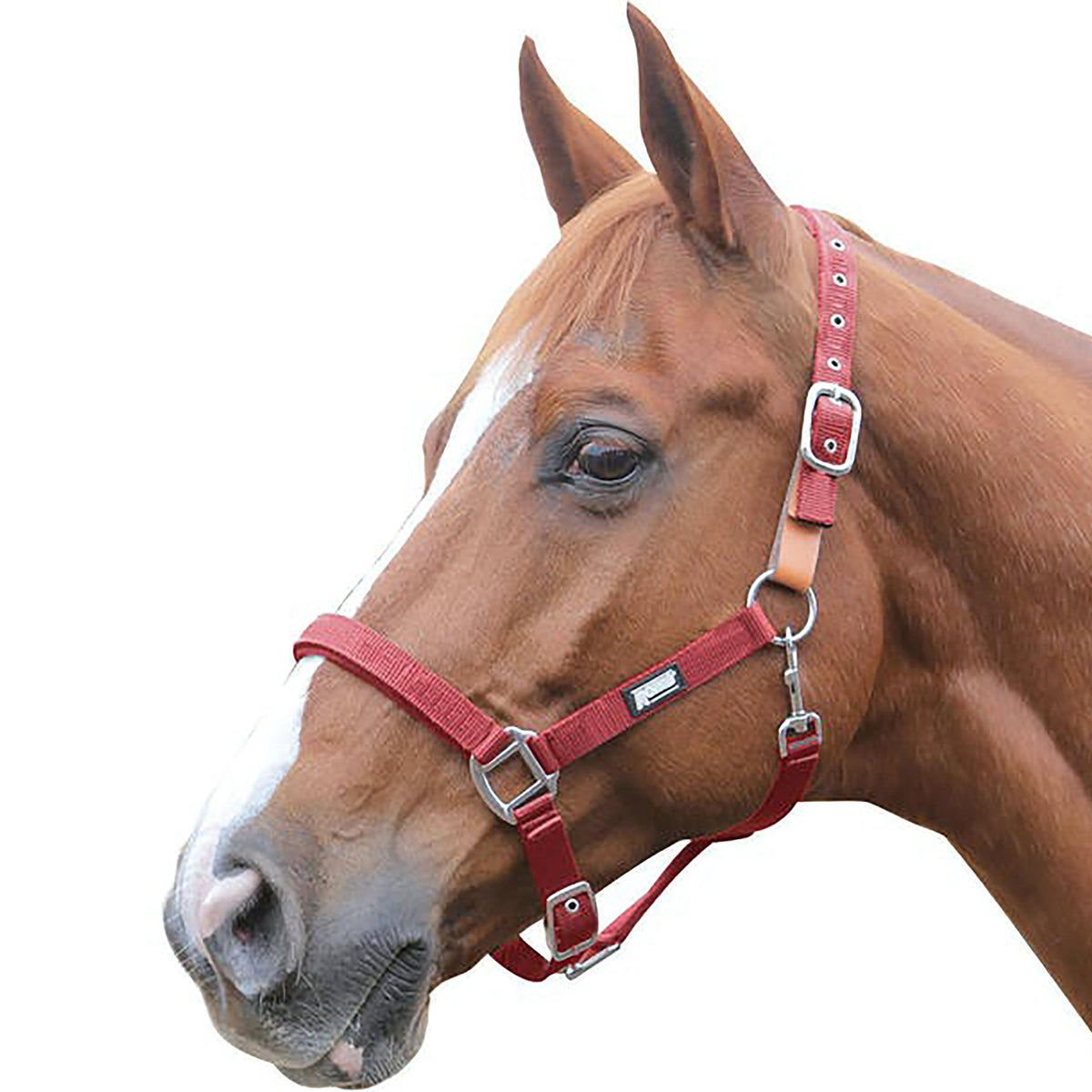 Breakaway Headcollar Red