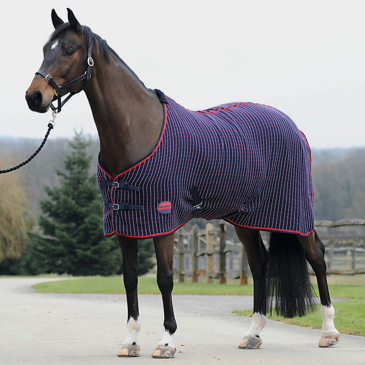 Waffle Cooler Navy/Red/White