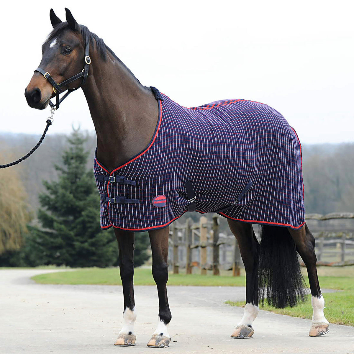 Waffle Cooler Navy/Red/White
