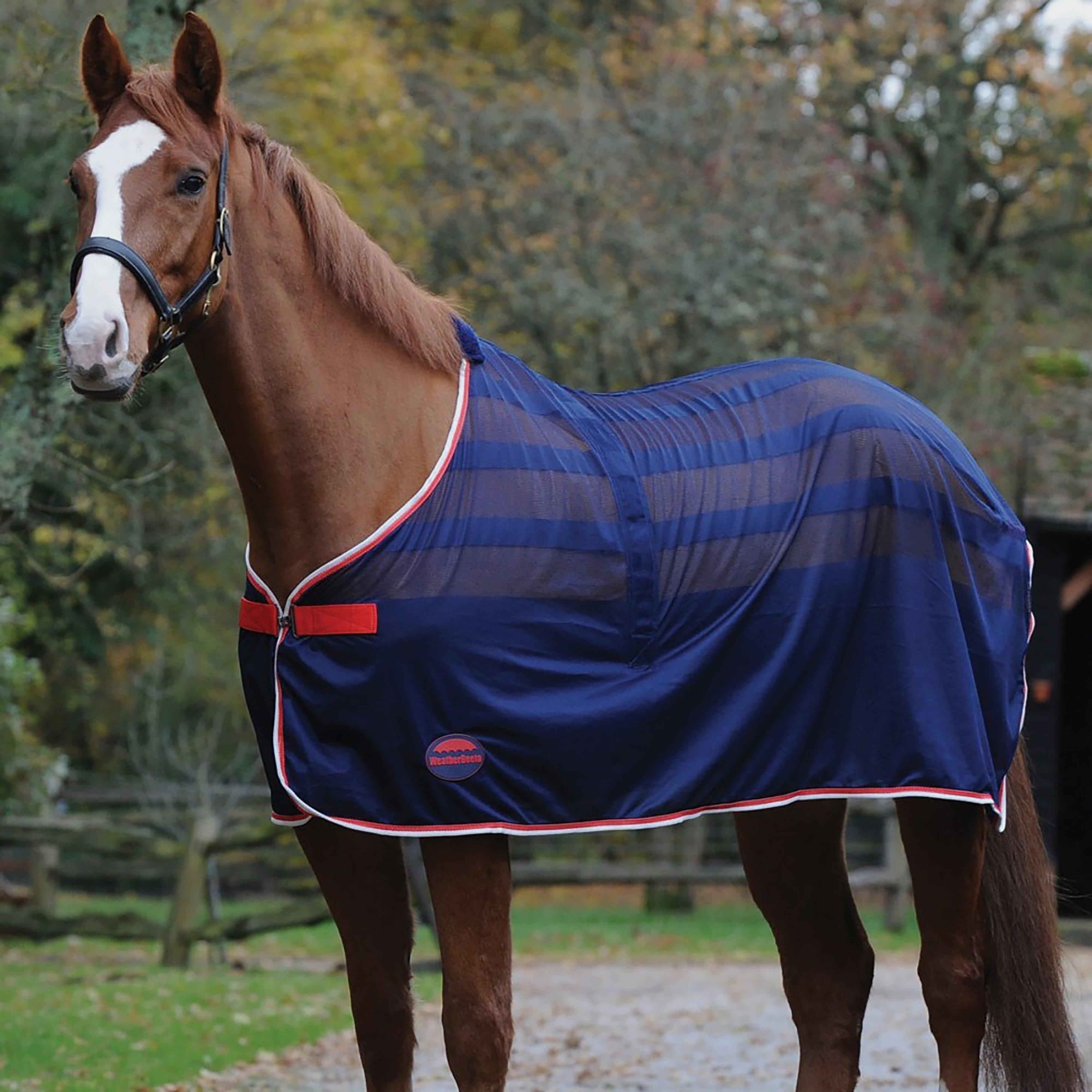 Scrim Cooler Navy/Red/White