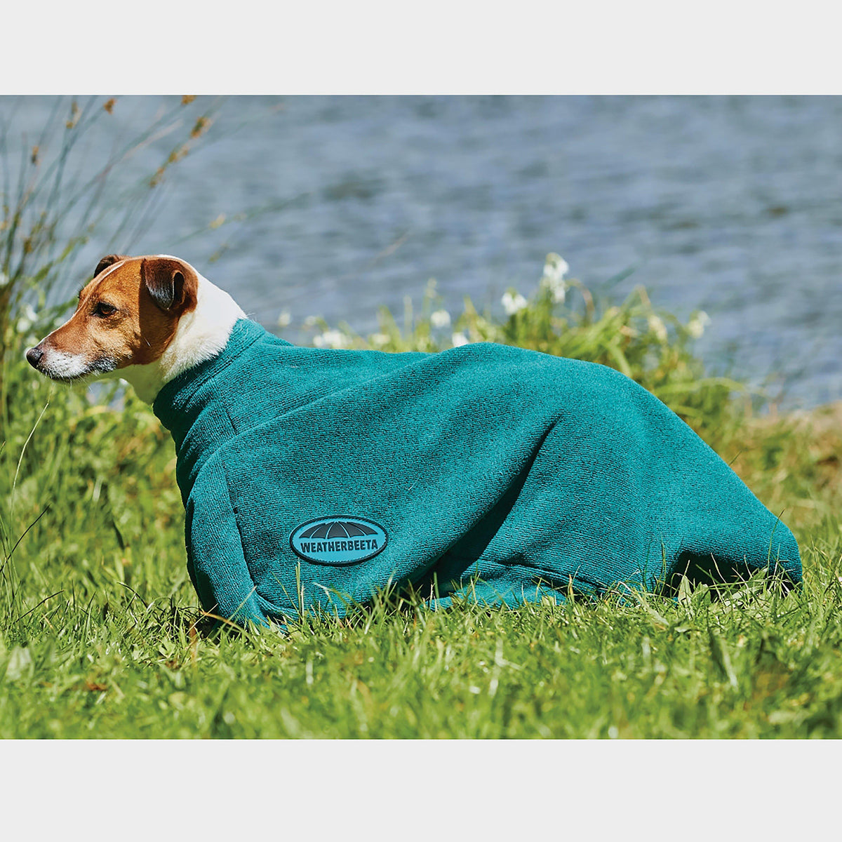 Dry Dog Bag Hunter Green