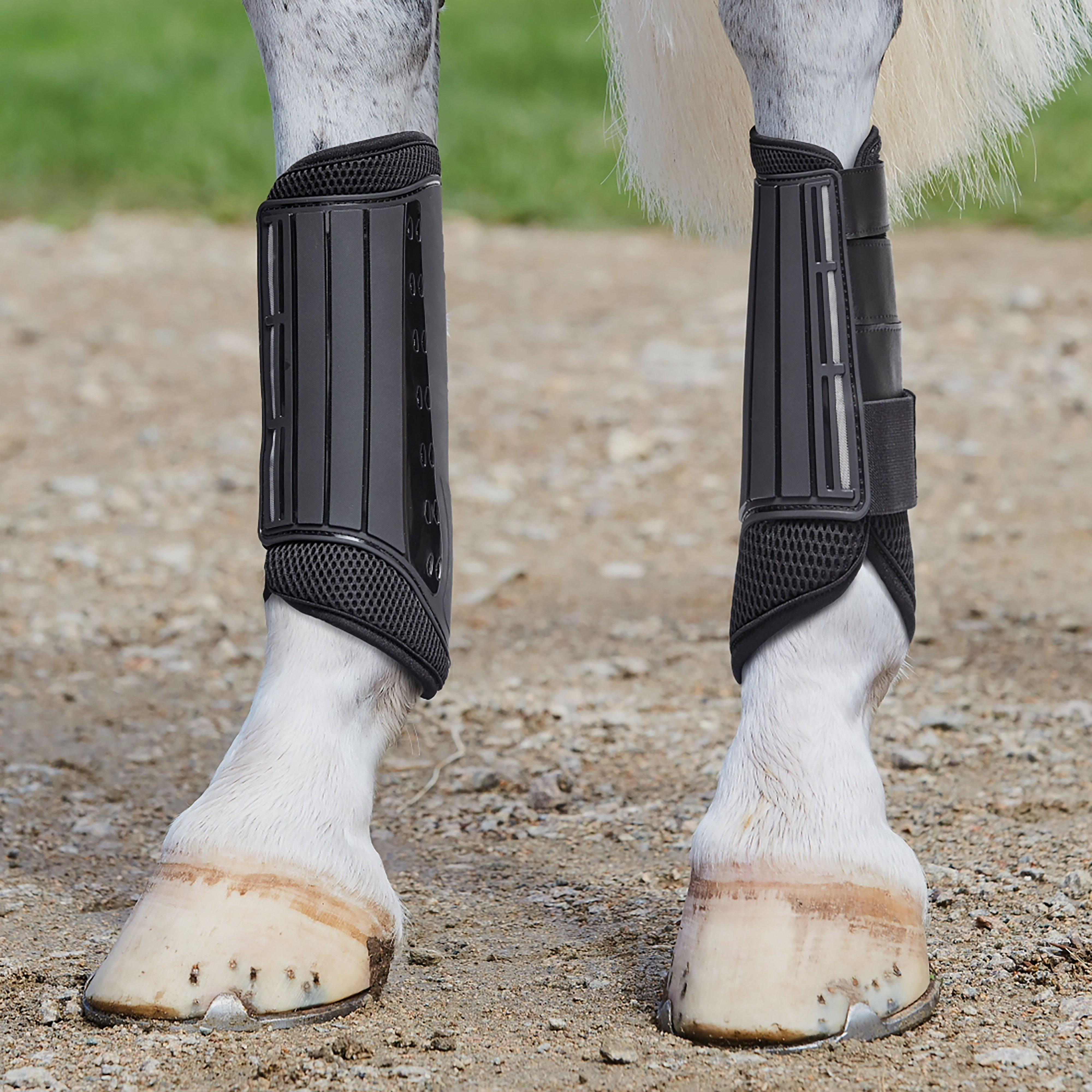 Eventing Hind Boots Black