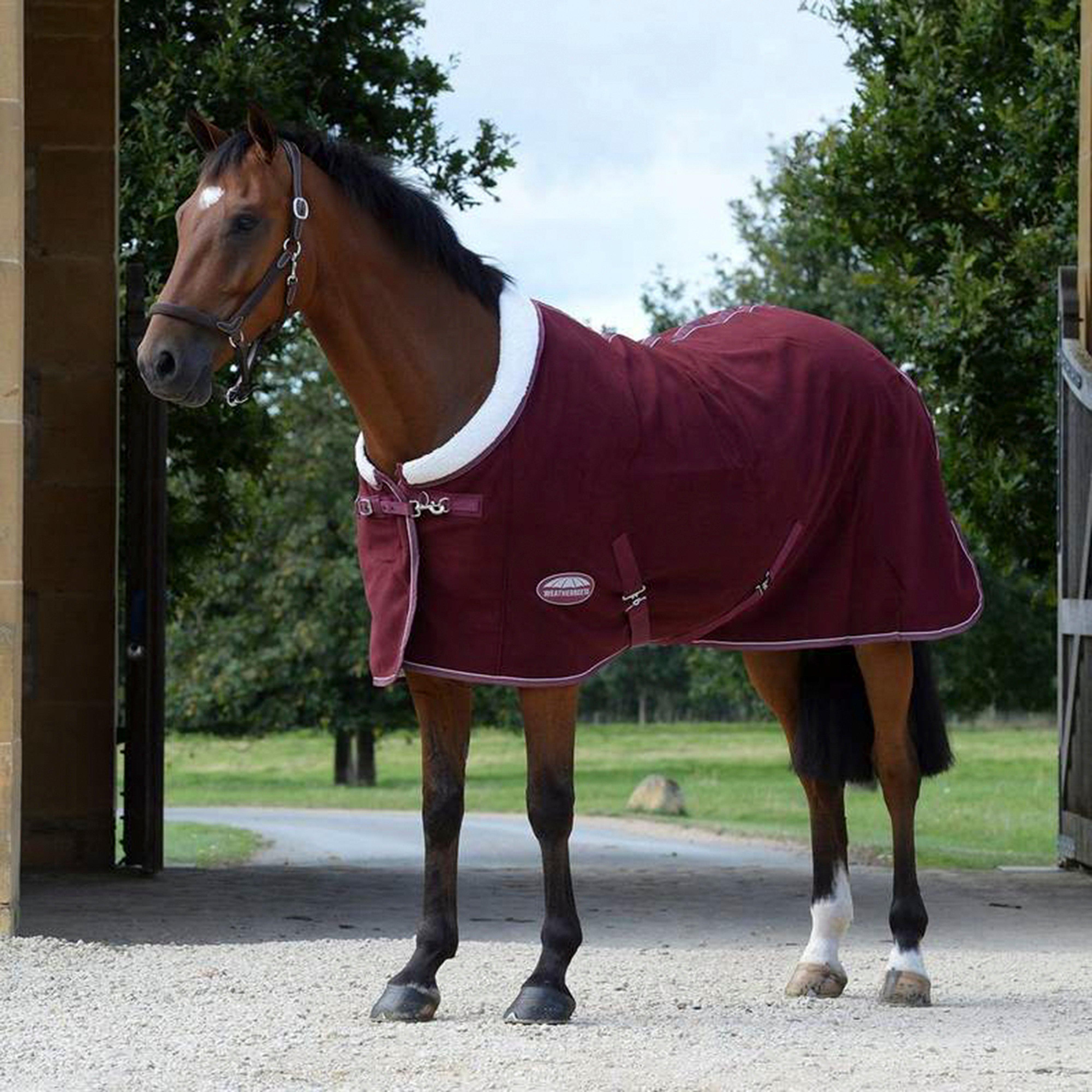 Sherpa Fleece Standard Neck Cooler Maroon/White
