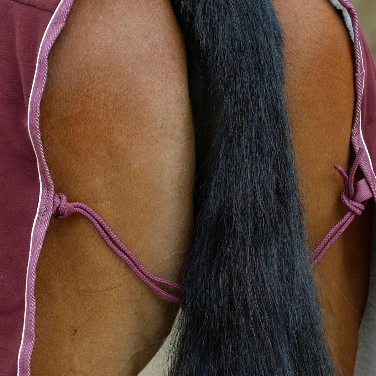 Sherpa Fleece Standard Neck Cooler Maroon/White