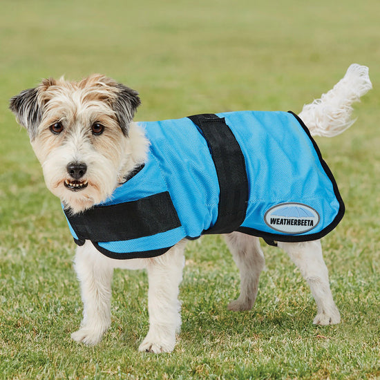 Therapy-Tec Cooling Dog Coat Blue