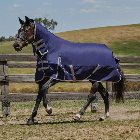ComFiTec Essential Combo Neck Lite Plus 50g Turnout Rug Navy/Silver/Red