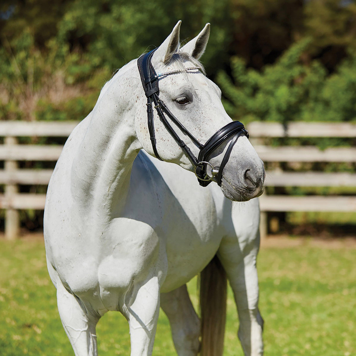 Therapy-Tec Anatomical Poll Pad Black