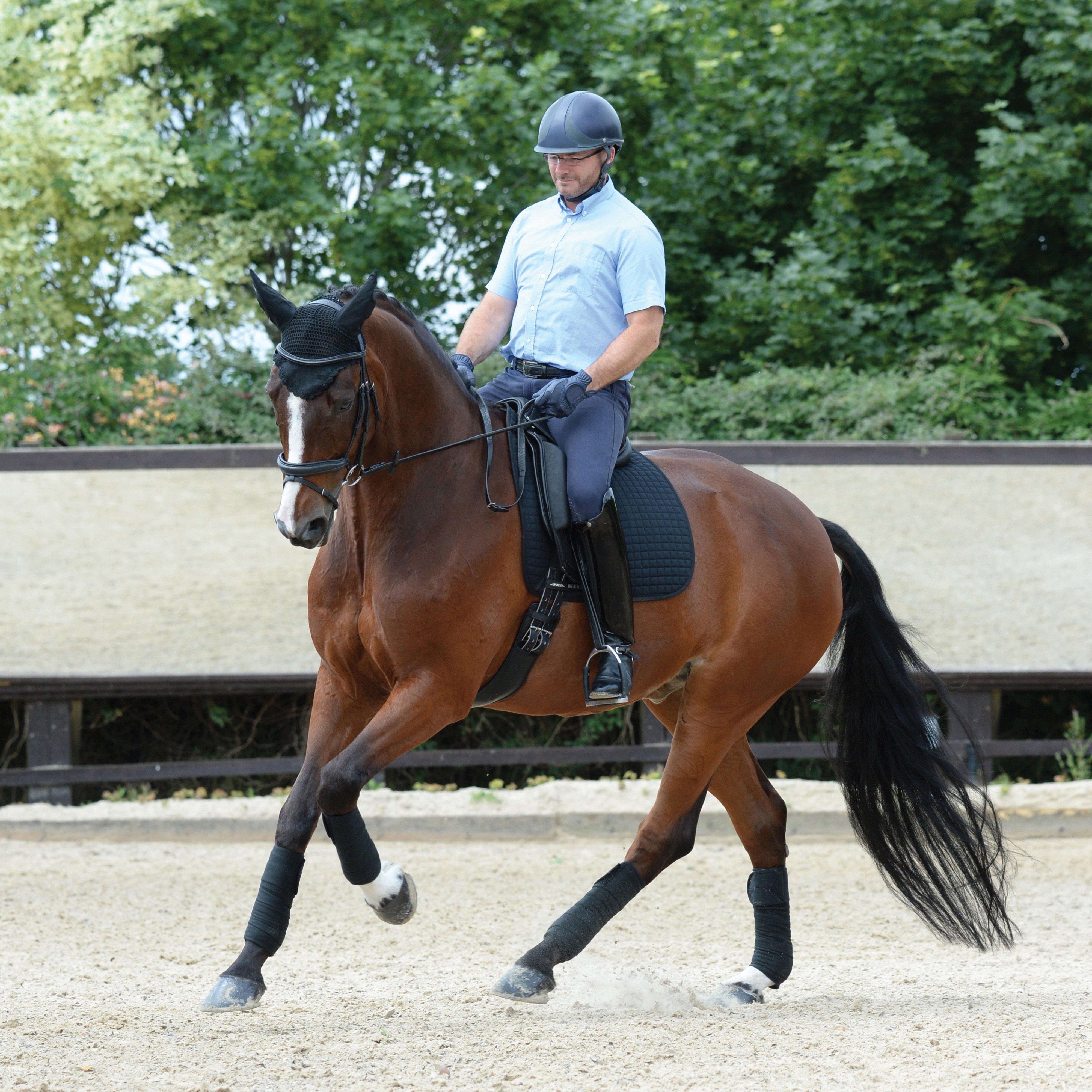 Prime Dressage Saddle Pad Black