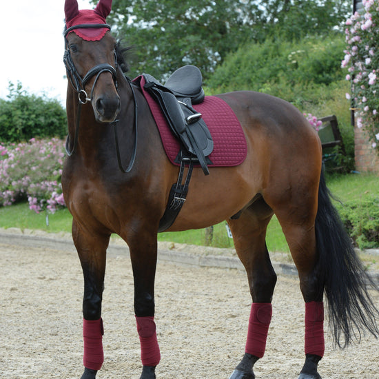 Prime Dressage Saddle Pad Maroon