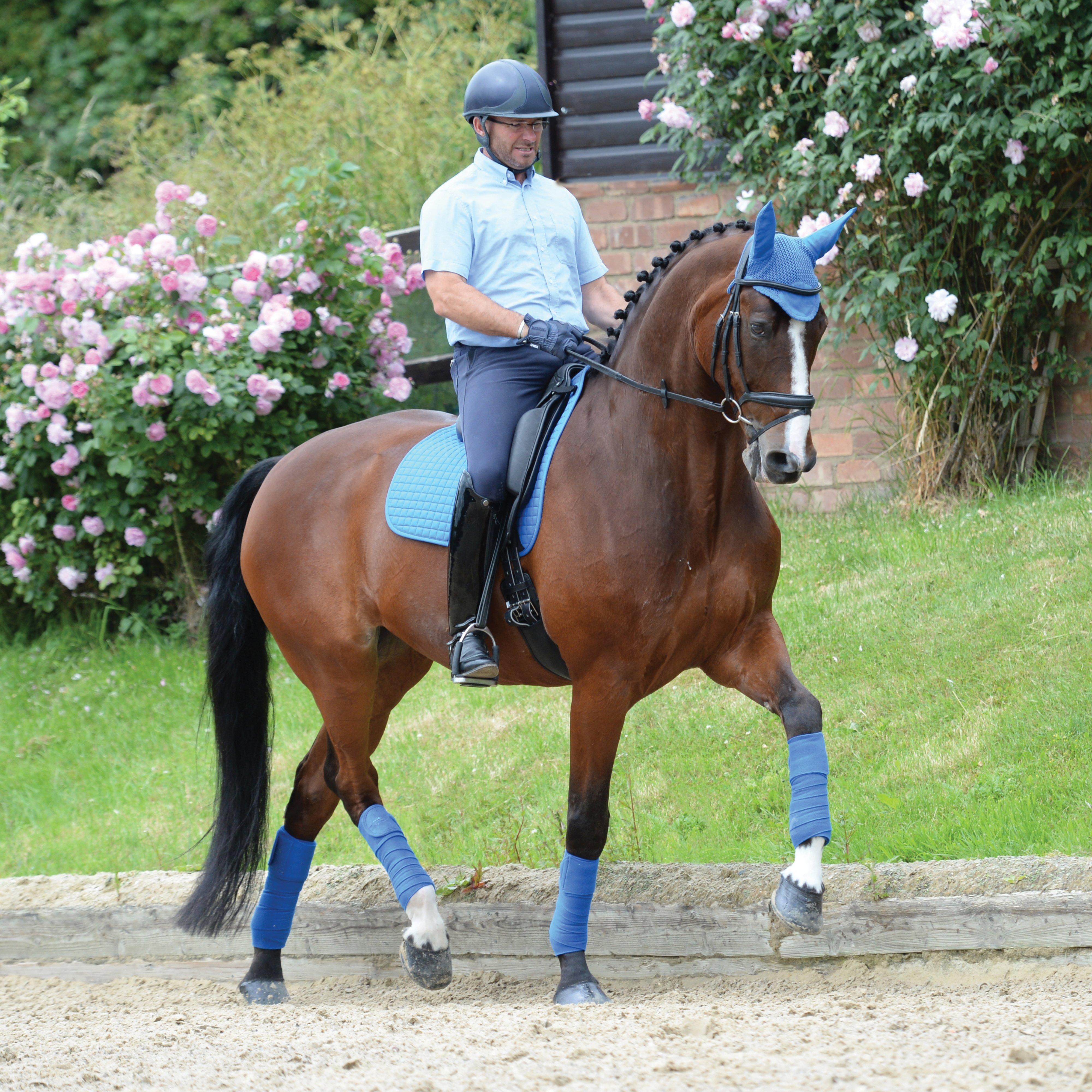 WeatherBeeta Prime Dressage Saddle Pad Royal Blue
