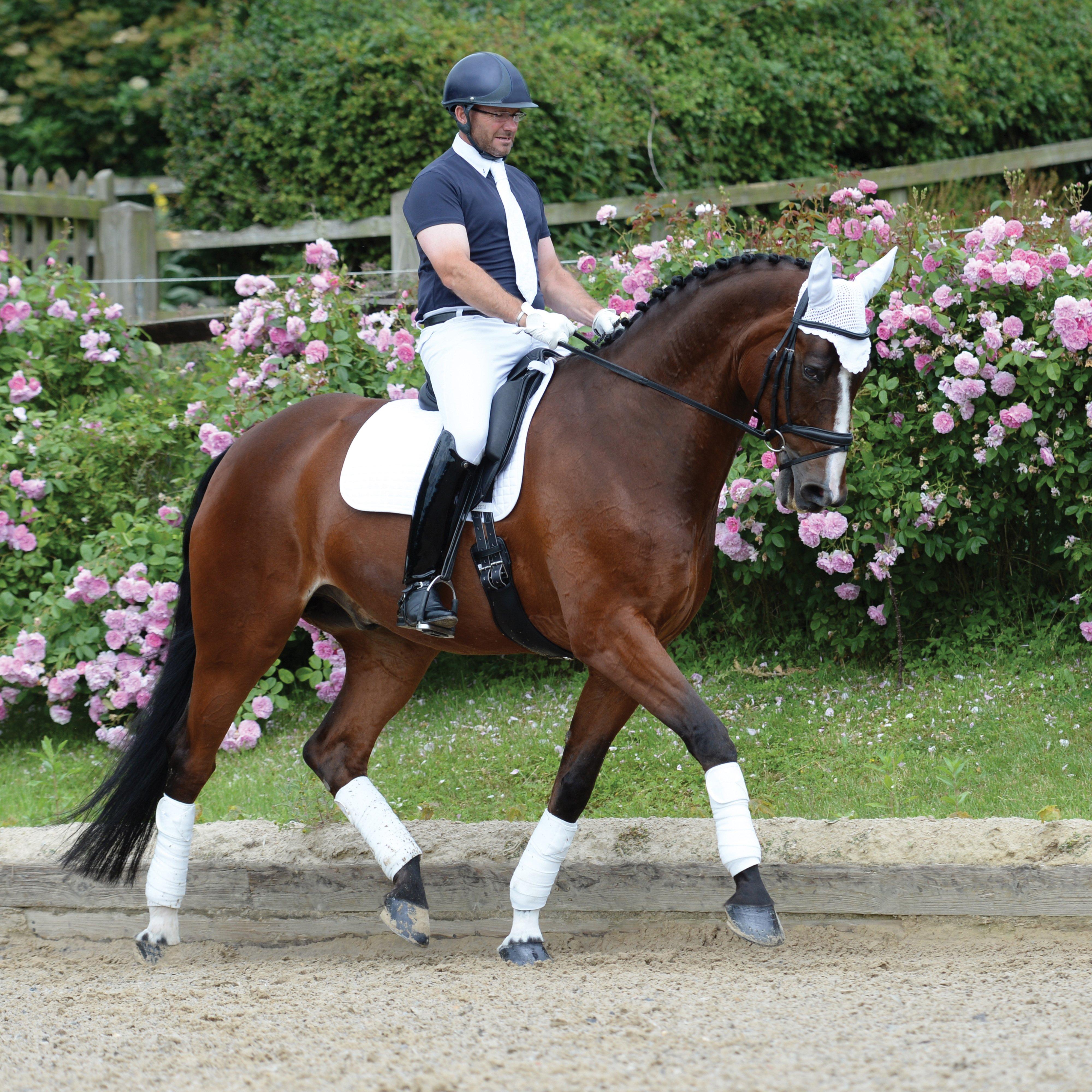 Prime Dressage Saddle Pad White