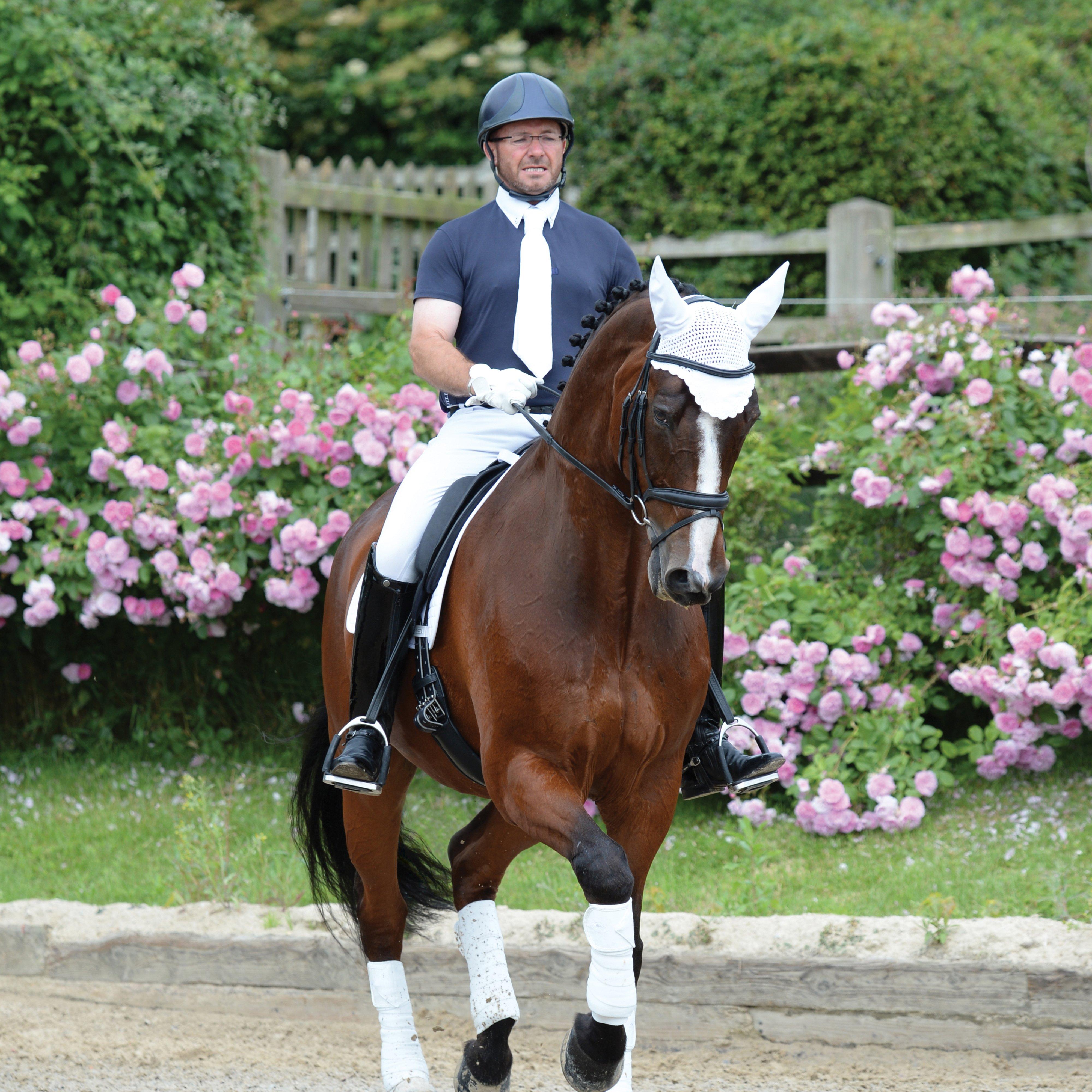 Prime Dressage Saddle Pad White