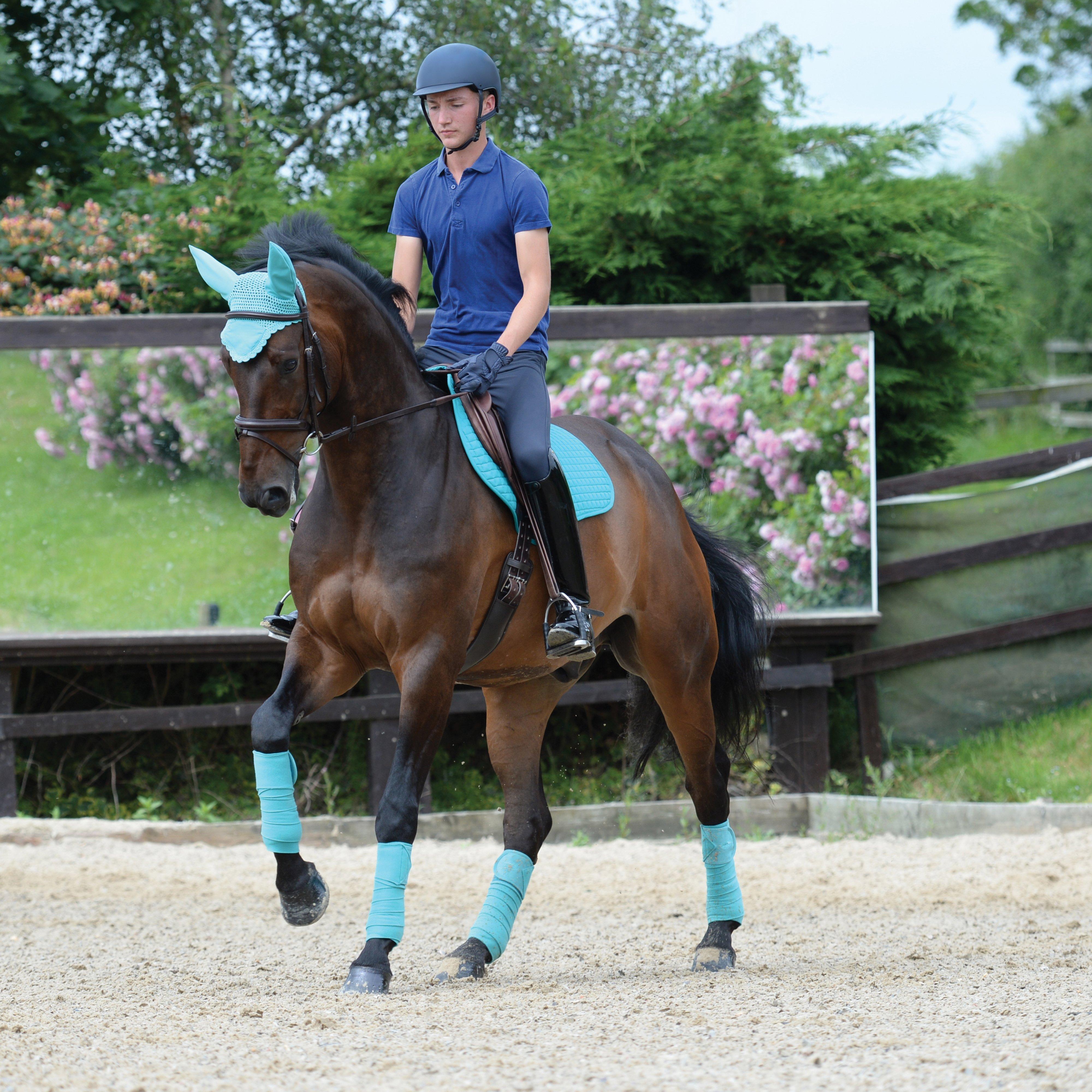 Prime Jump Saddle Pad Turquoise