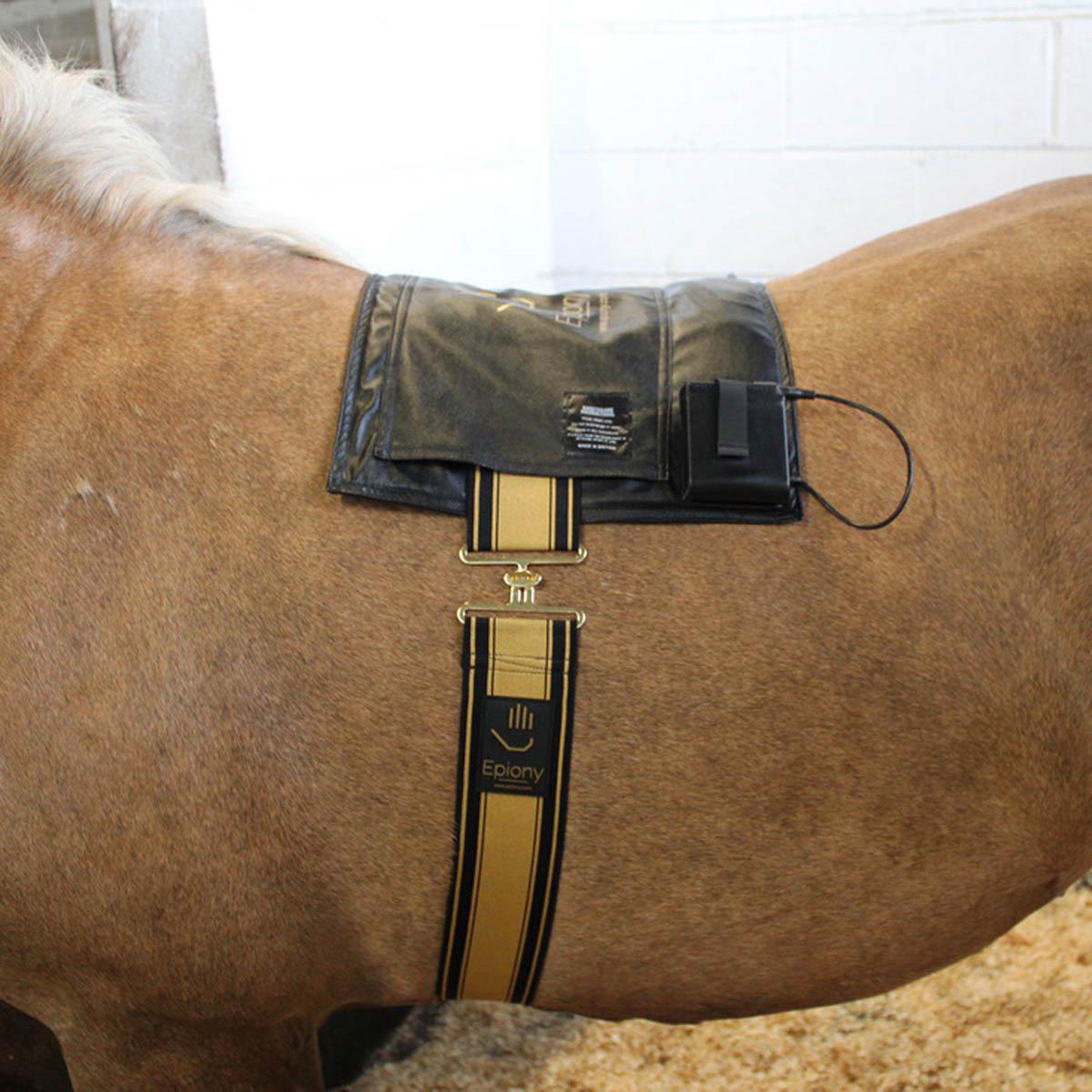 Heat Pad