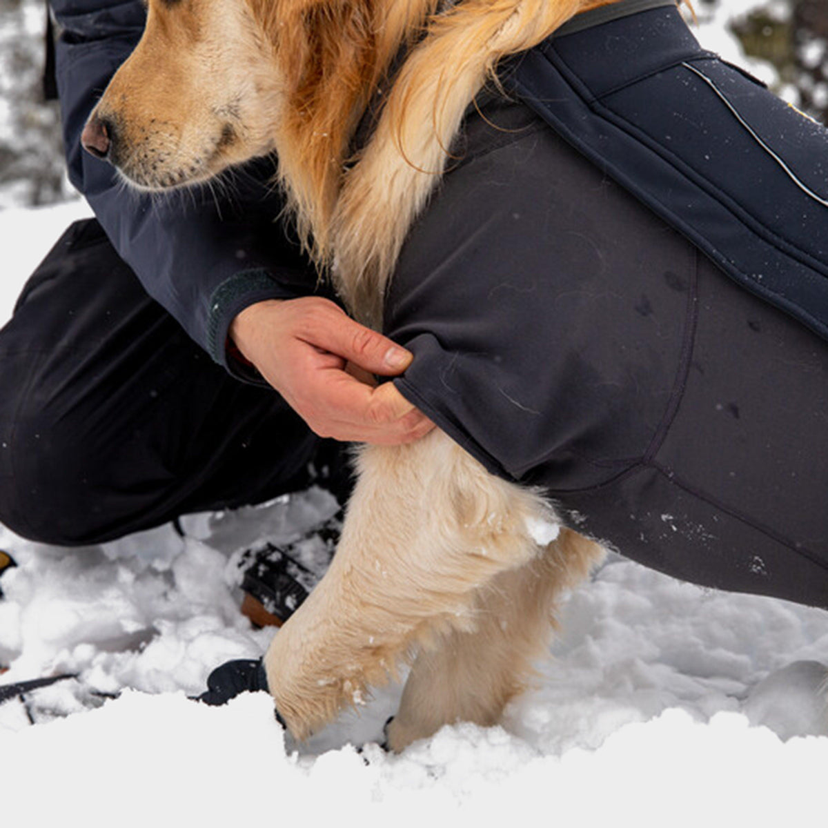 Cloud Chaser Dog Jacket Black