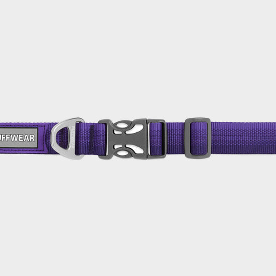 Front Range Dog Collar Purple