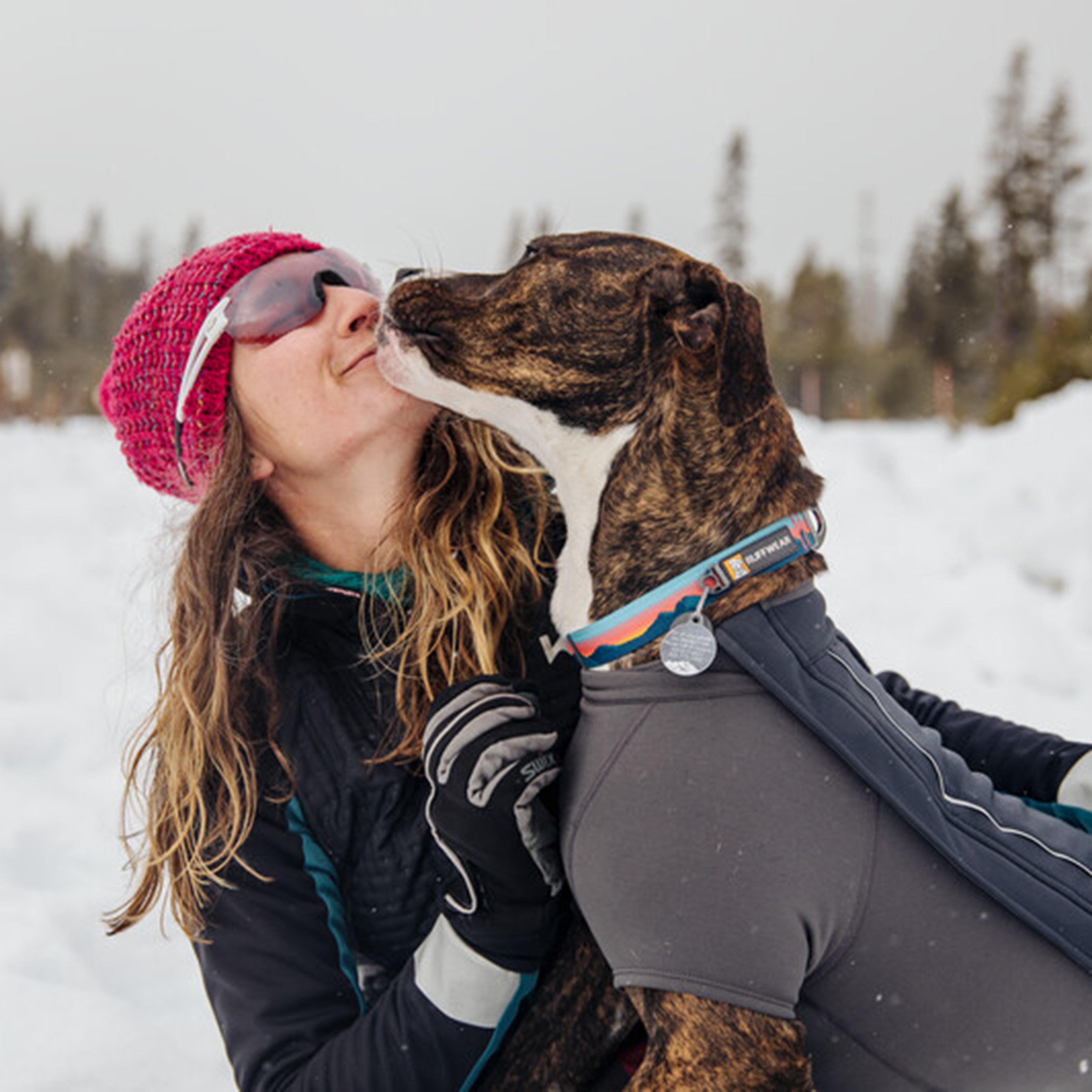 Crag Reflective Dog Collar Sun