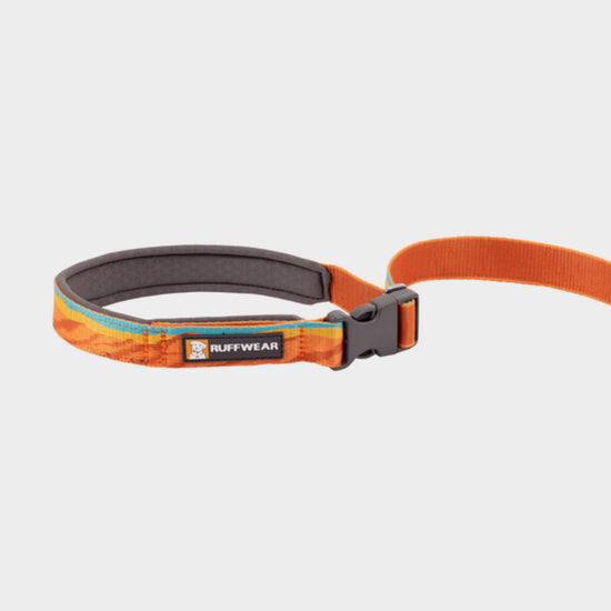 Flat Out Adjustable Dog Lead Falls