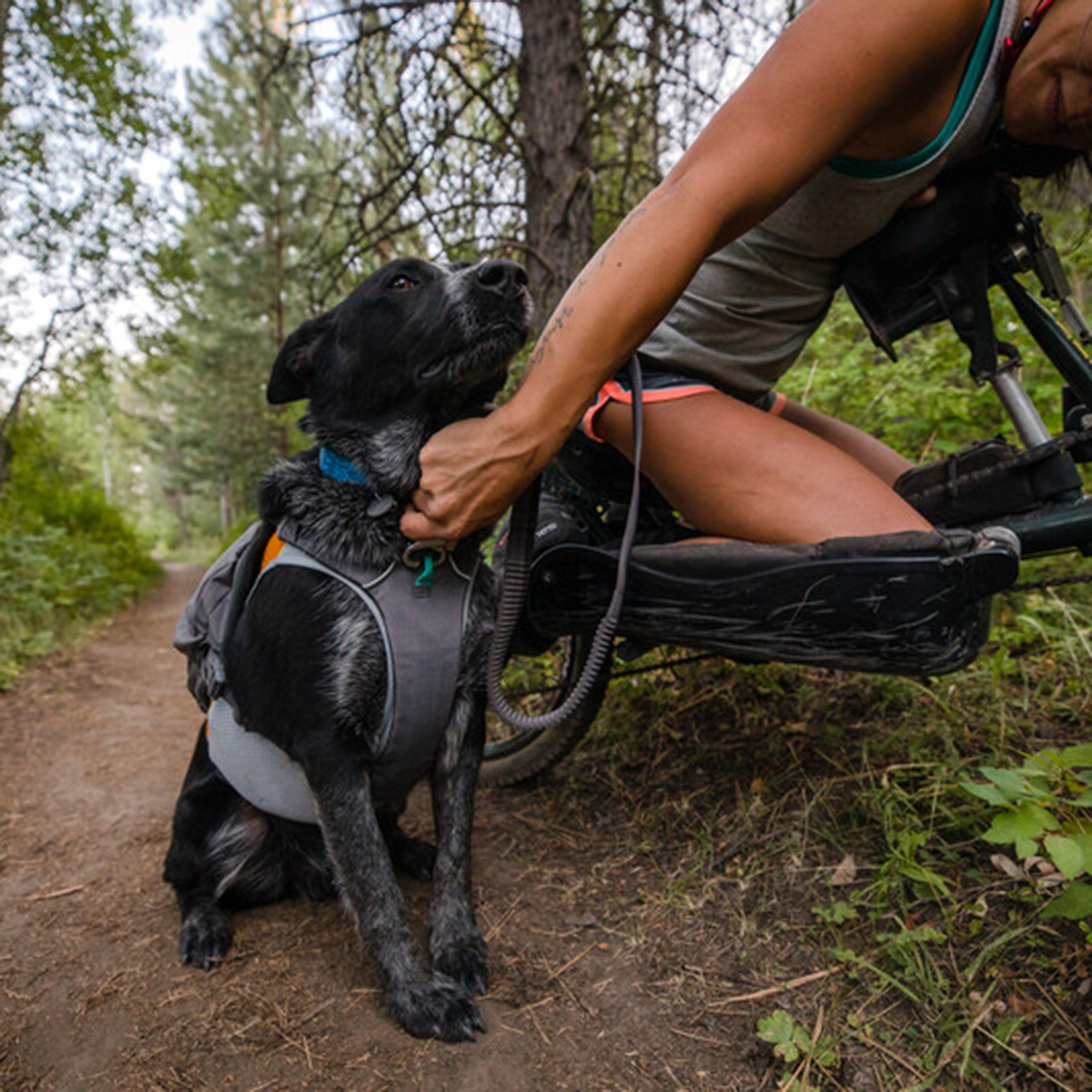 Roamer Bungee Dog Running Lead Granite Grey
