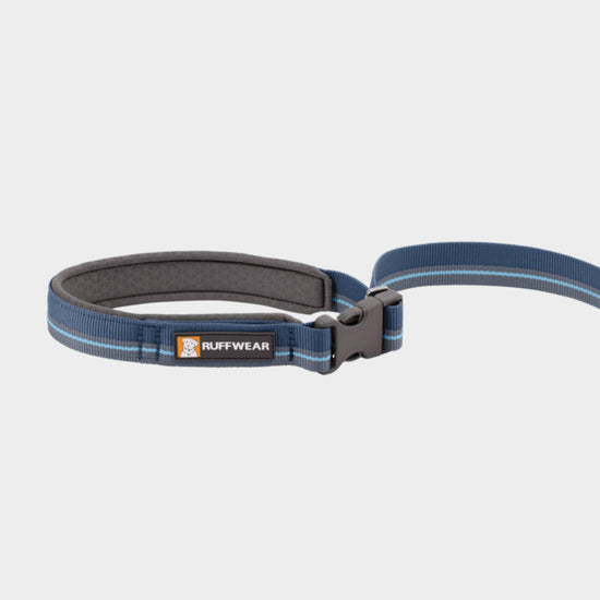 Flat Out Adjustable Dog Lead Blue