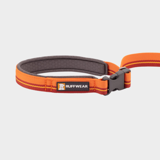 Flat Out Adjustable Dog Lead Orange