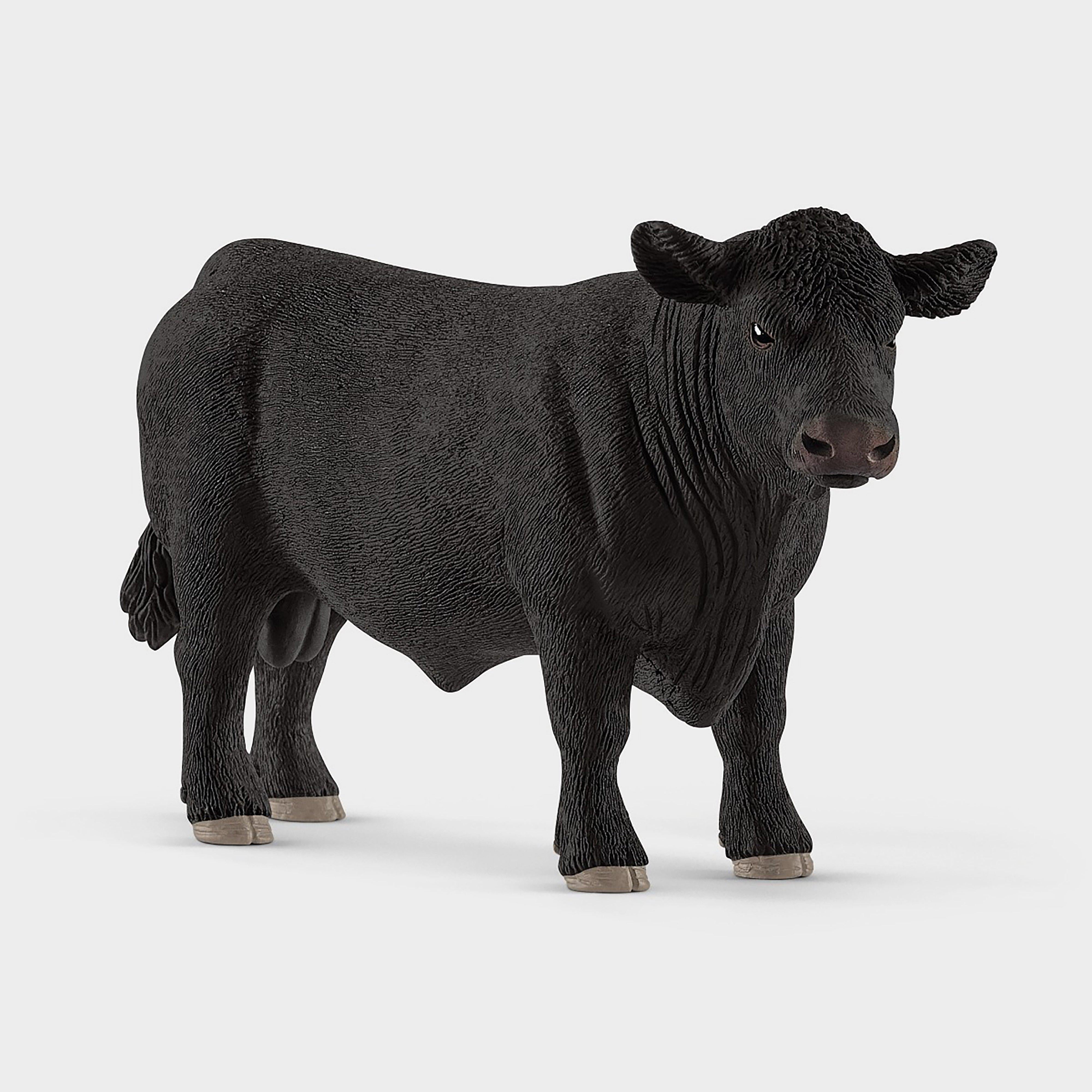 Black Angus Bull