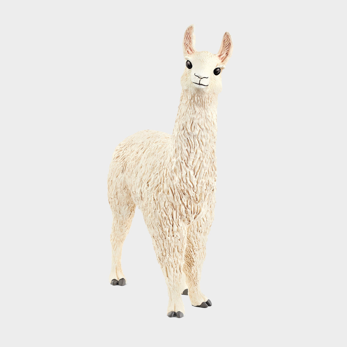 Llama