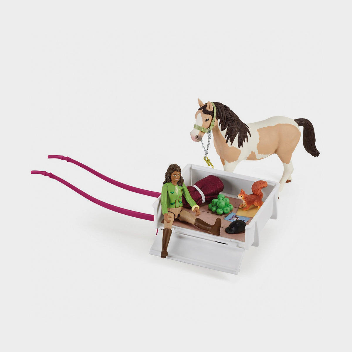 Horse Club Sarah's Camping Adventure