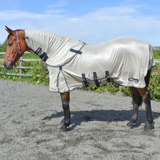Airton Fly Rug Oyster