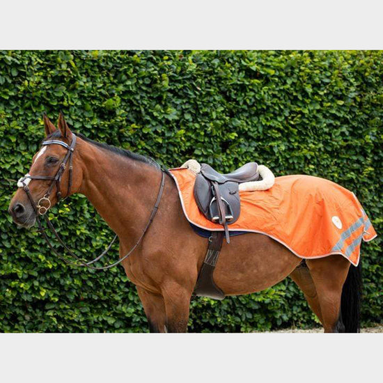 Mesh Exercise Sheet Orange