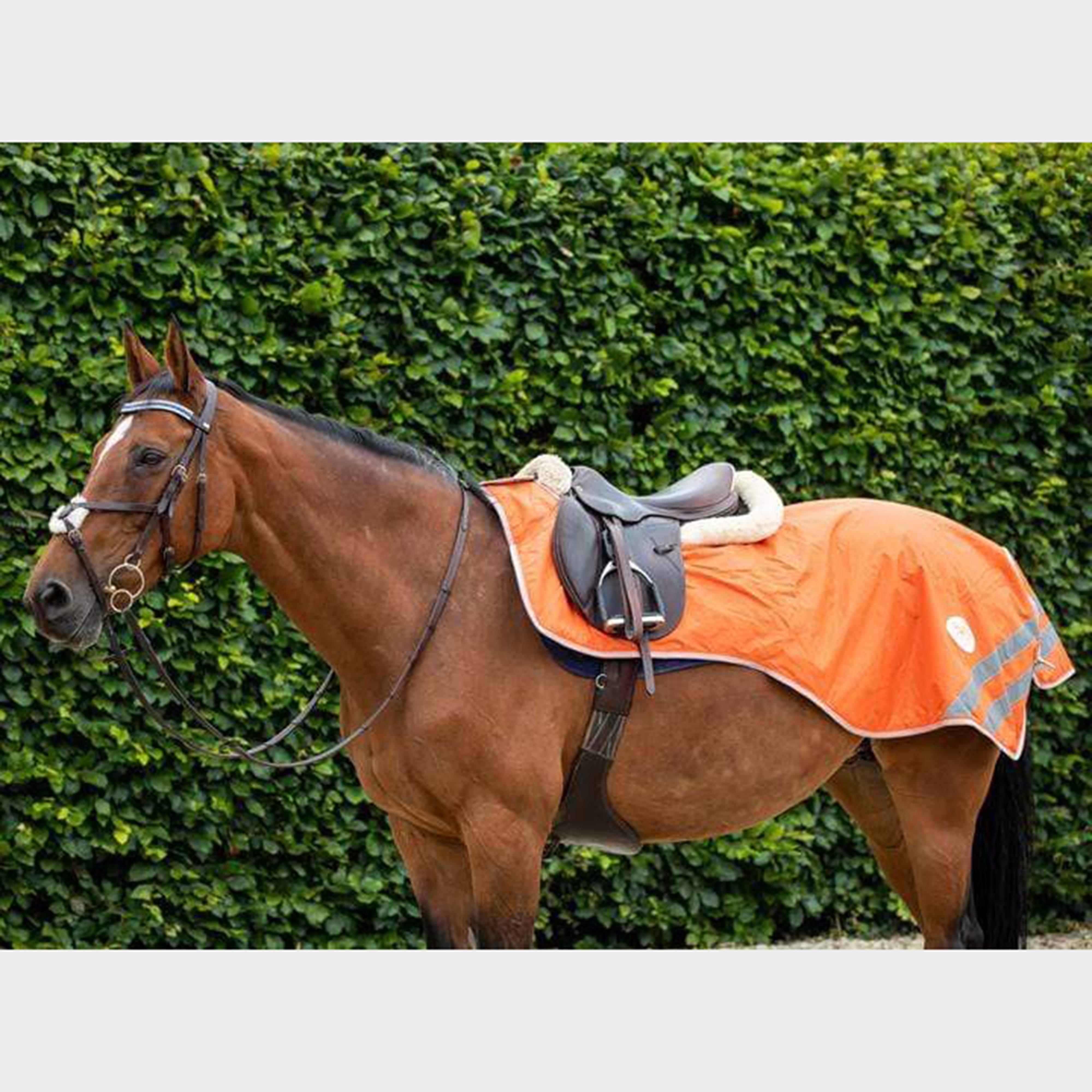 Mesh Exercise Sheet Orange