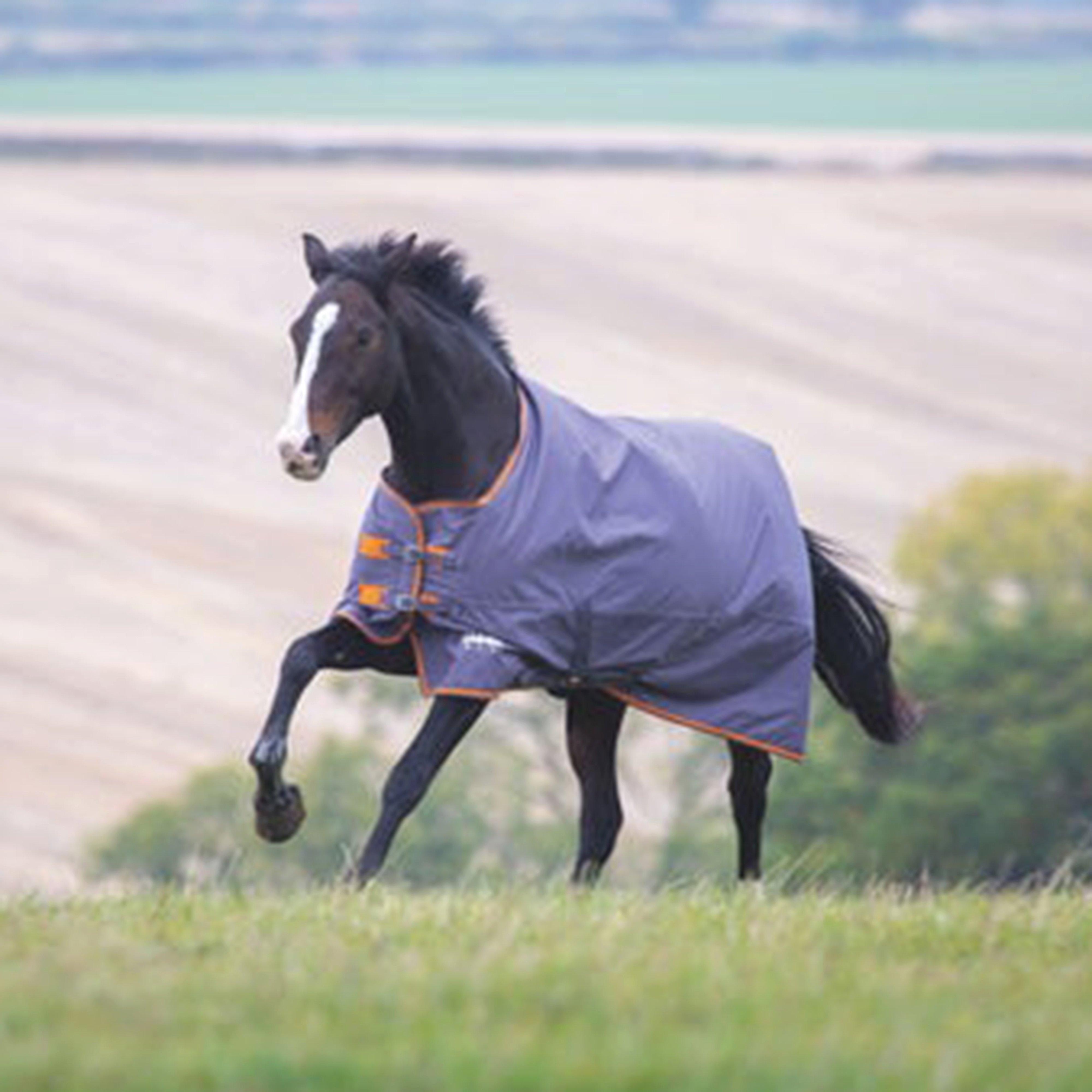 Tempest Original 200 Medium Weight Standard Neck Turnout Rug Grey