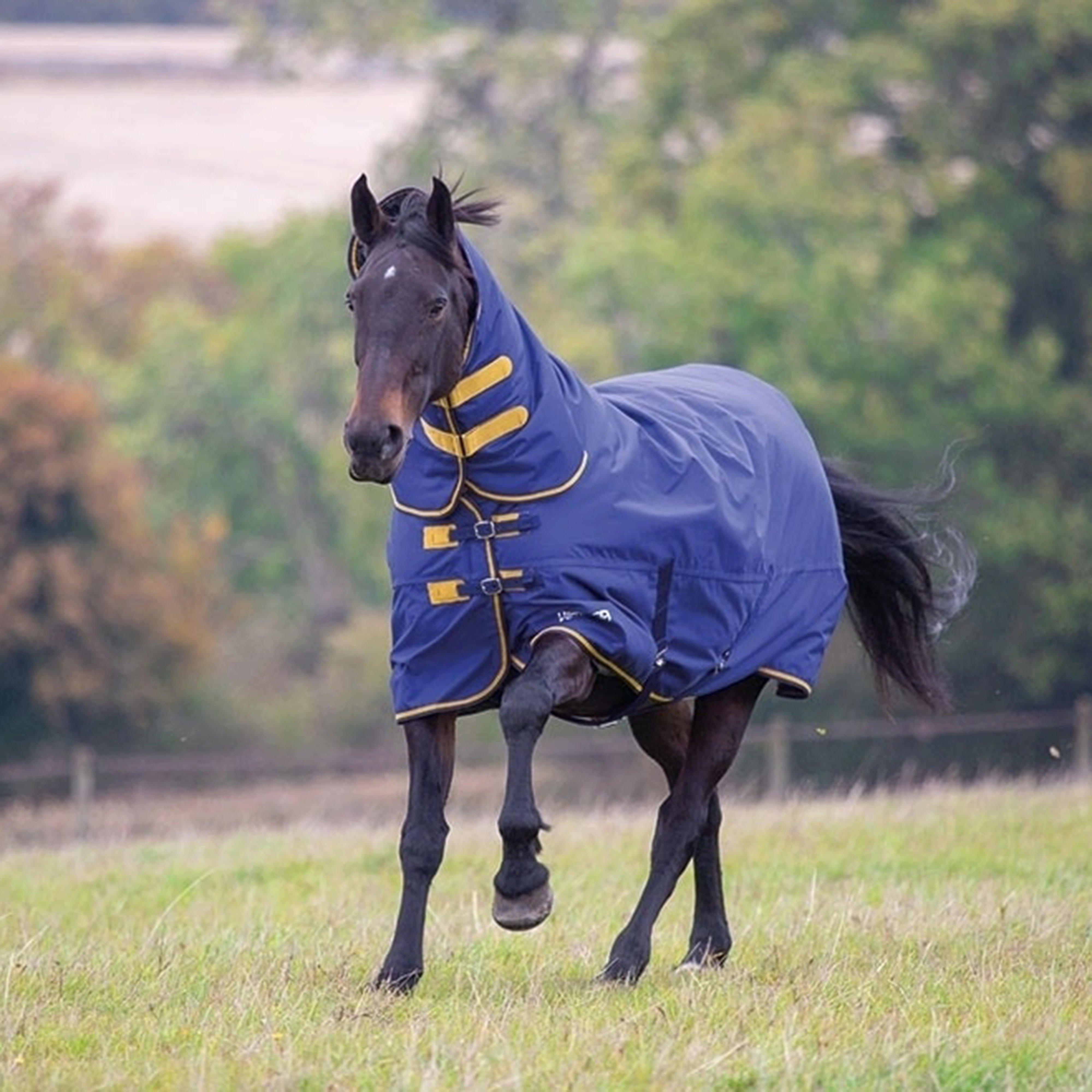 Tempest Original 300g Heavyweight Combo Neck Turnout Rug Navy
