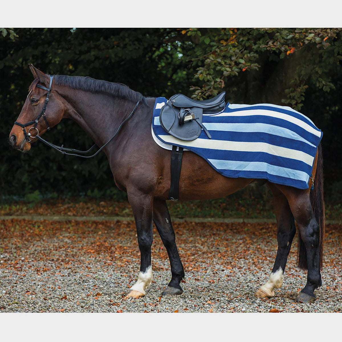Rambo Newmarket Competition Fleece Navy