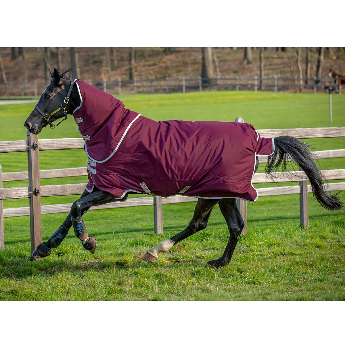 Amigo® Hero Ripstop Plus 200g Mediumweight Turnout Rug With Detachable Neck Burgundy/Silver