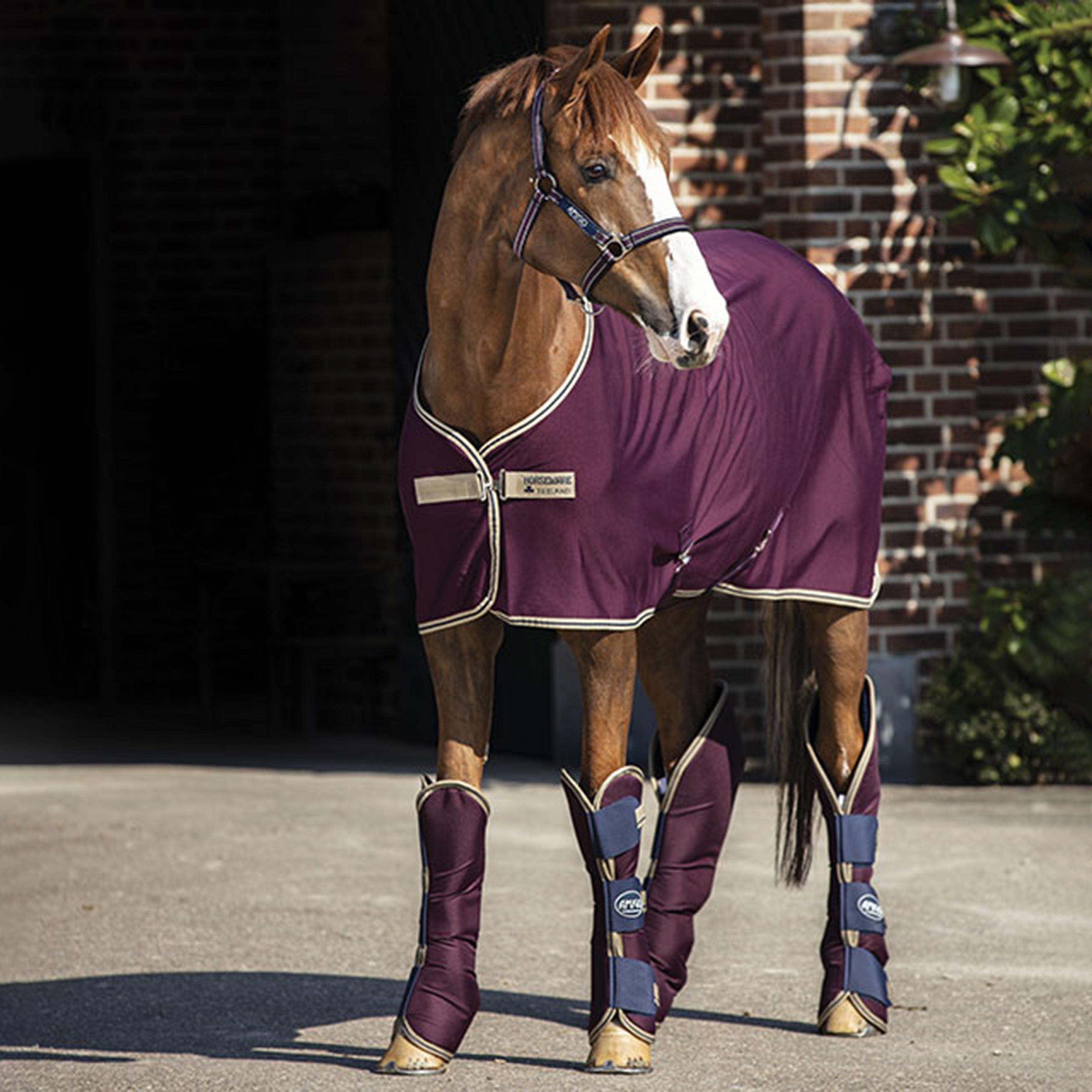 Amigo Jersey Cooler Fig/Navy/Tan