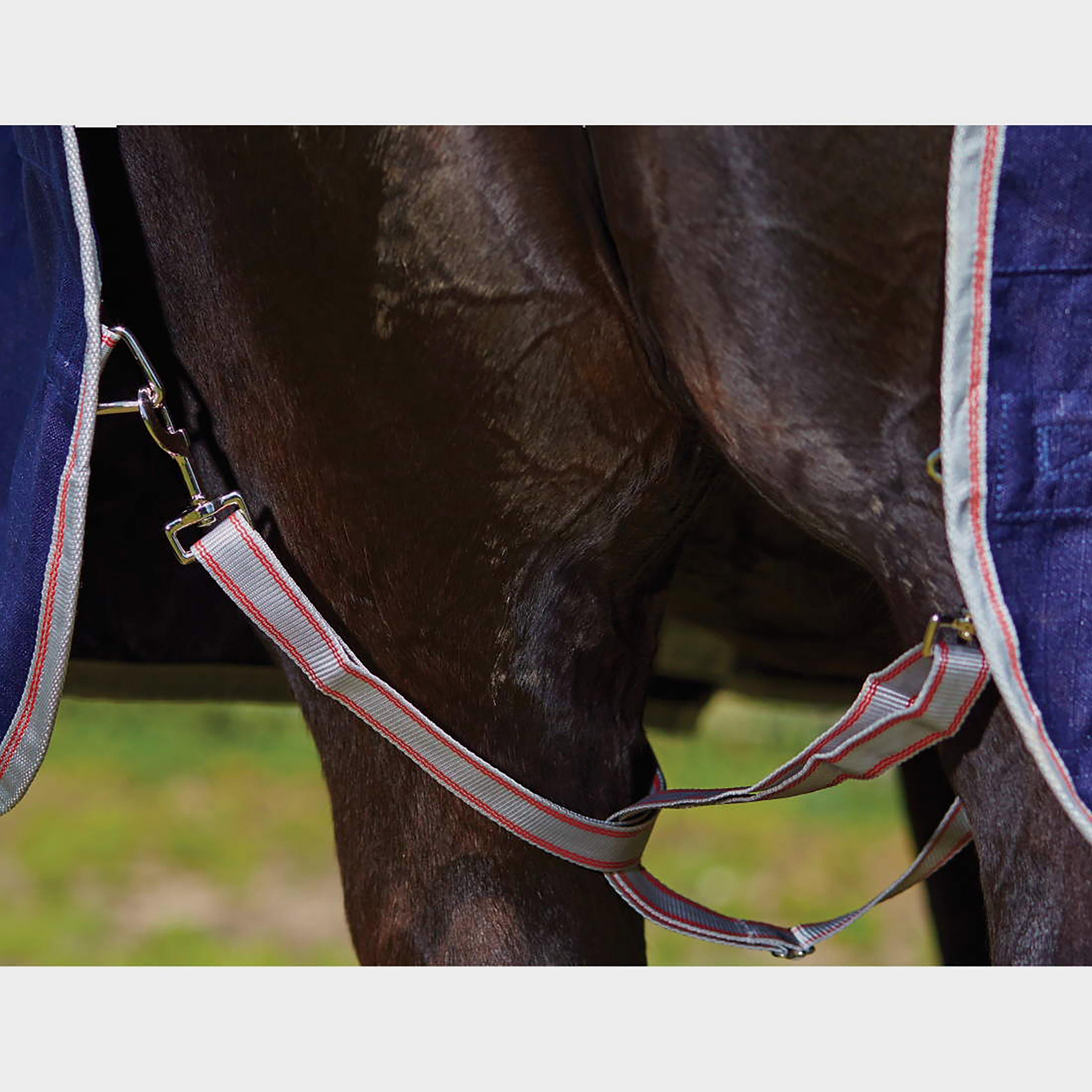 ComFiTec Classic 220g Medium Weight Standard Neck Turnout Rug Red/Silver