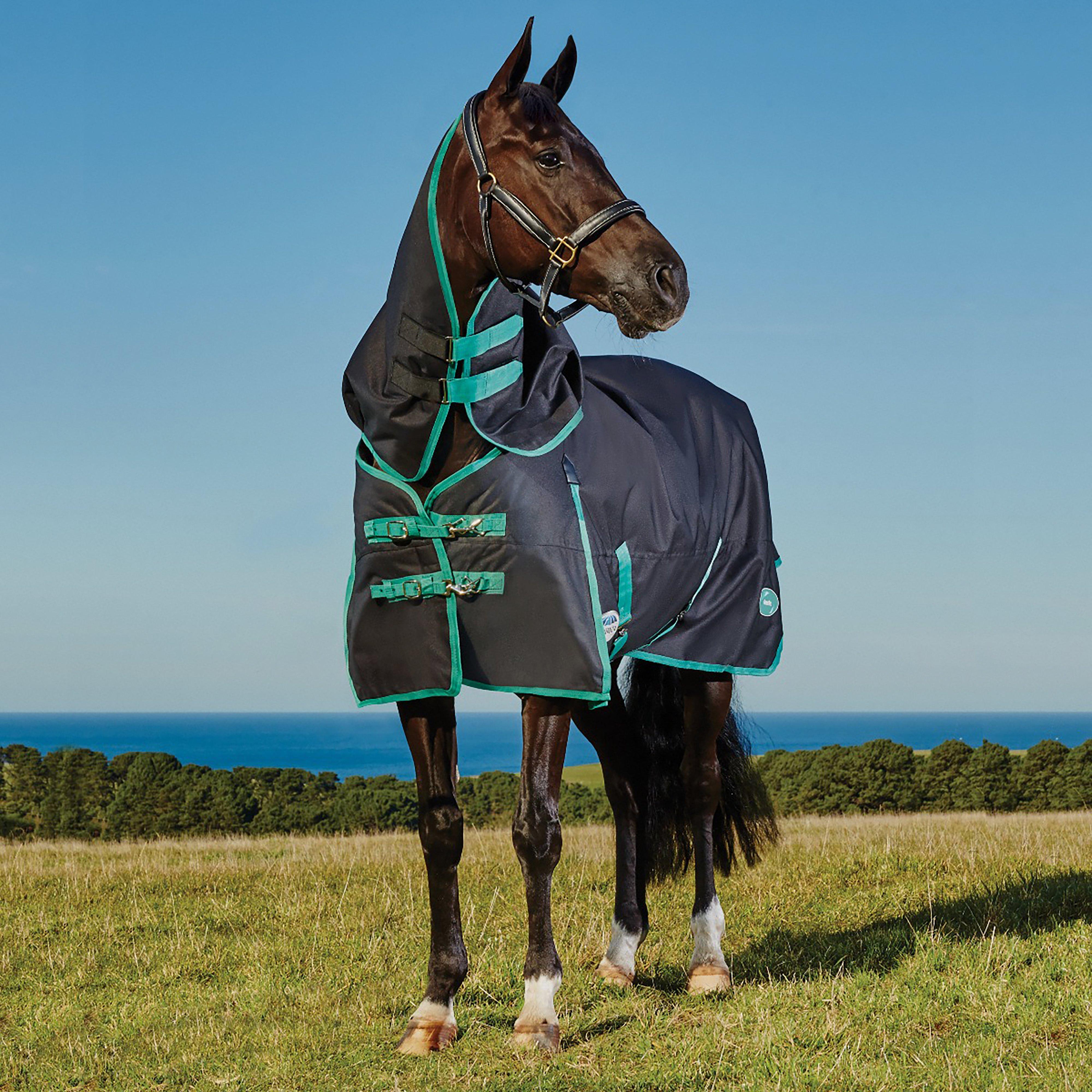 Green-Tec 900D 220g Medium Weight Detach-A-Neck Turnout Rug Black/Bottle Green