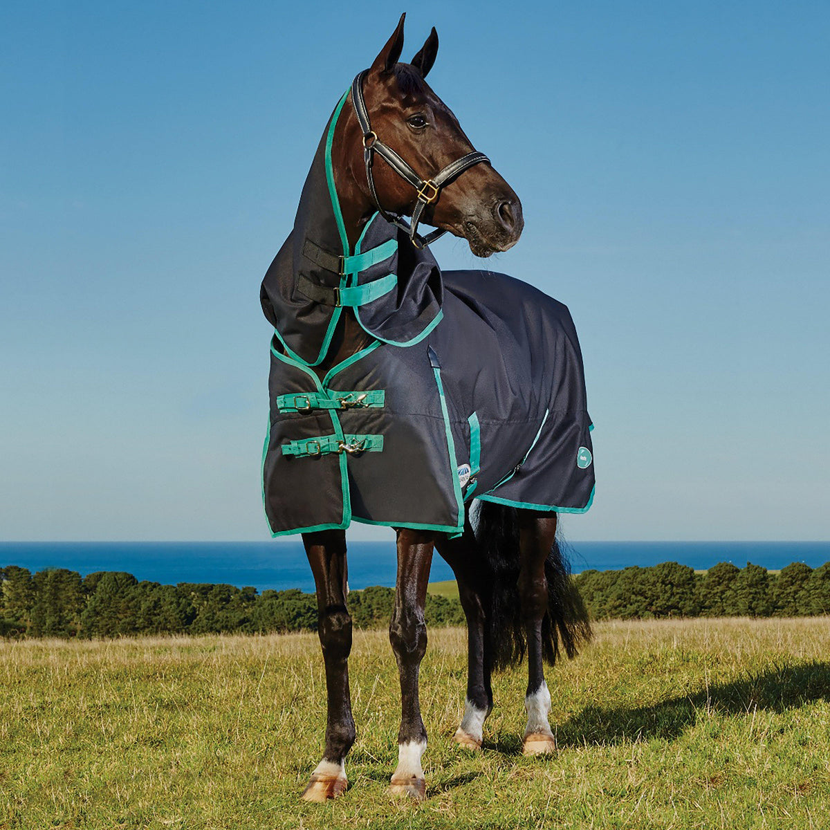 Green-Tec 900D 220g Medium Weight Detach-A-Neck Turnout Rug Black/Bottle Green