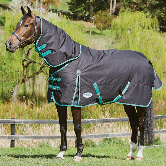 Green-Tec 900D 220g Medium Weight Detach-A-Neck Turnout Rug Black/Bottle Green