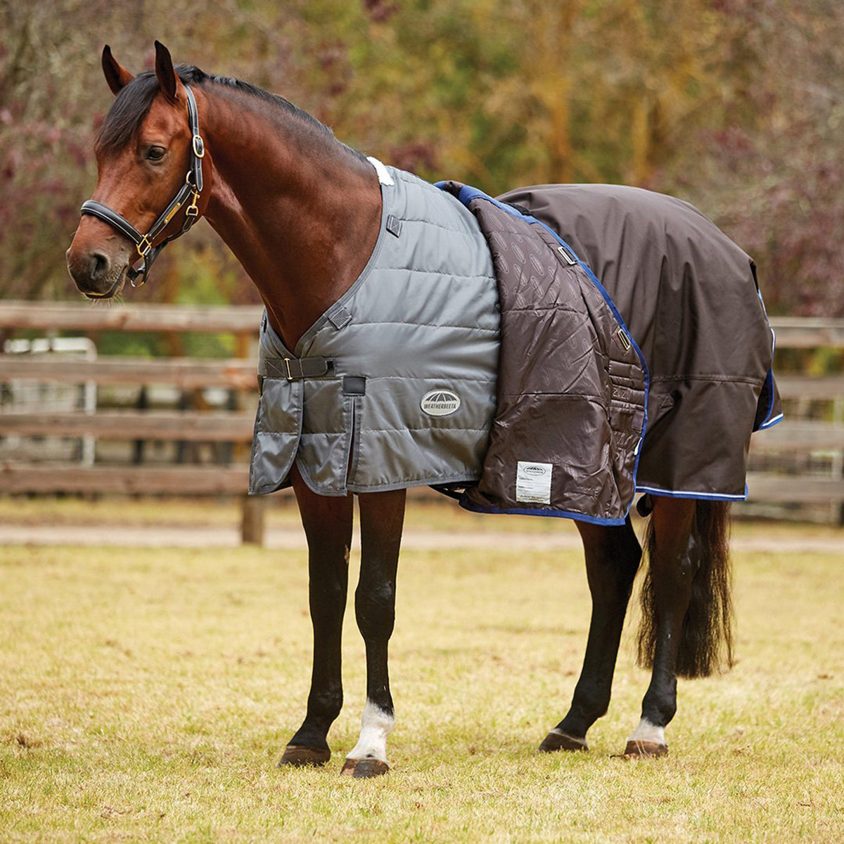 ComFiTec 100g Light-Medium Weight Liner Grey