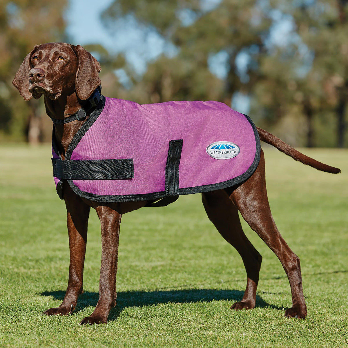 ComFiTec Classic 100g Lightweight Dog Coat Pink