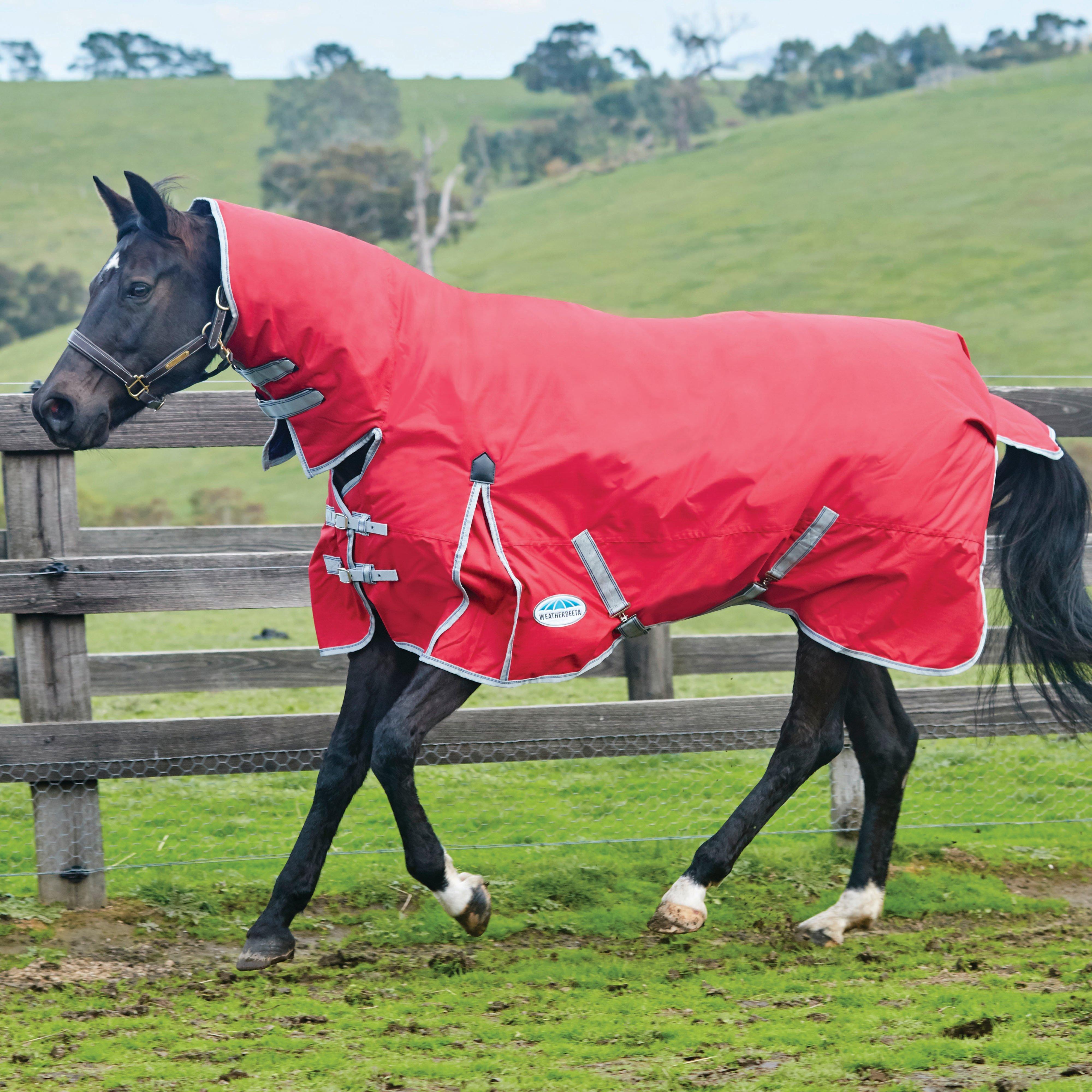 ComFiTec Classic 100g Medium/Lite Weight Combo Turnout Rug Red/Silver/Navy